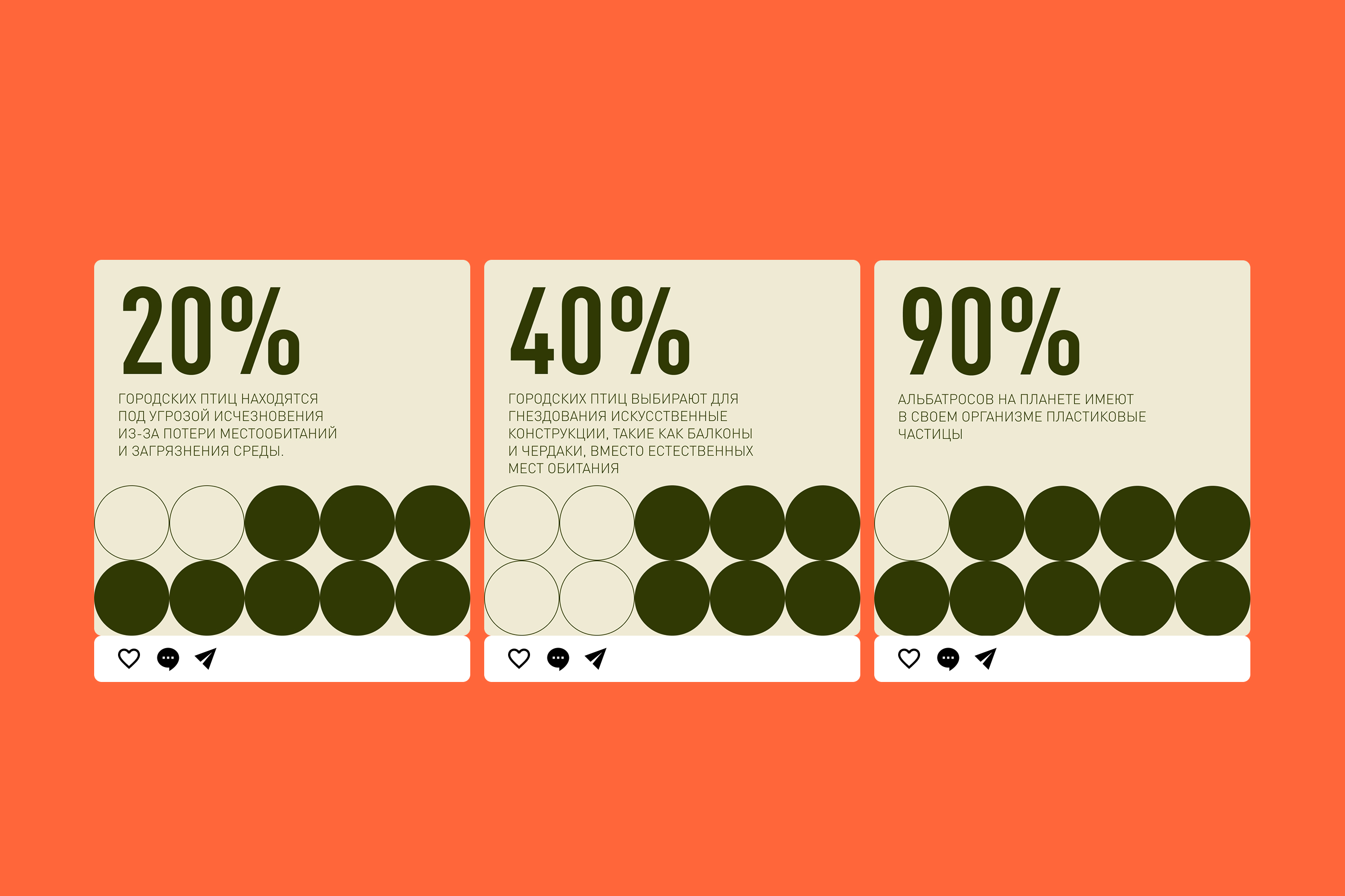 Орнитологический фестиваль — Изображение №15 — Брендинг на Dprofile