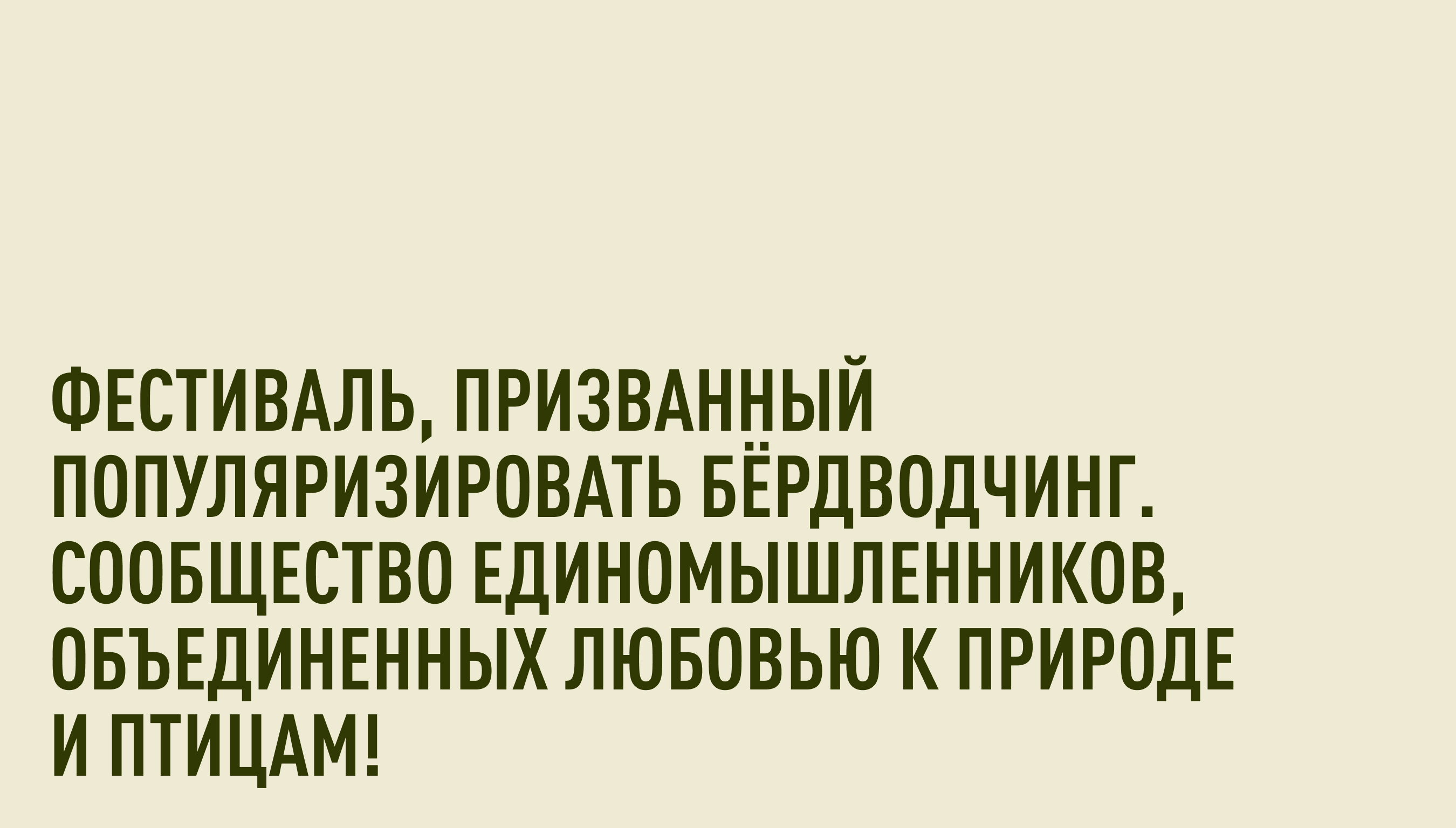 Орнитологический фестиваль — Изображение №2 — Брендинг на Dprofile