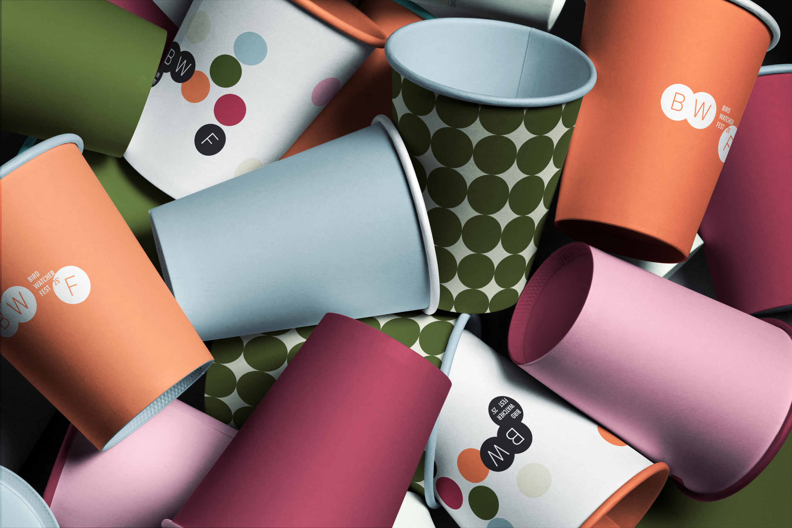 Орнитологический фестиваль — Изображение №17 — Брендинг на Dprofile