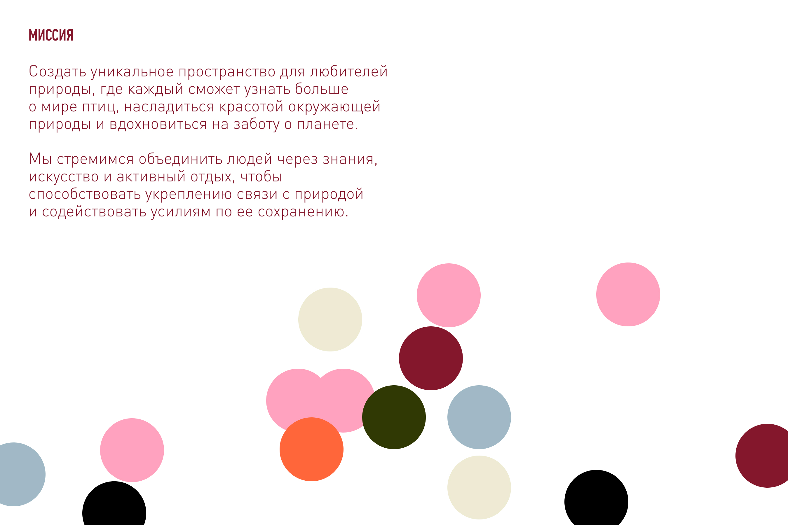 Орнитологический фестиваль — Изображение №3 — Брендинг на Dprofile