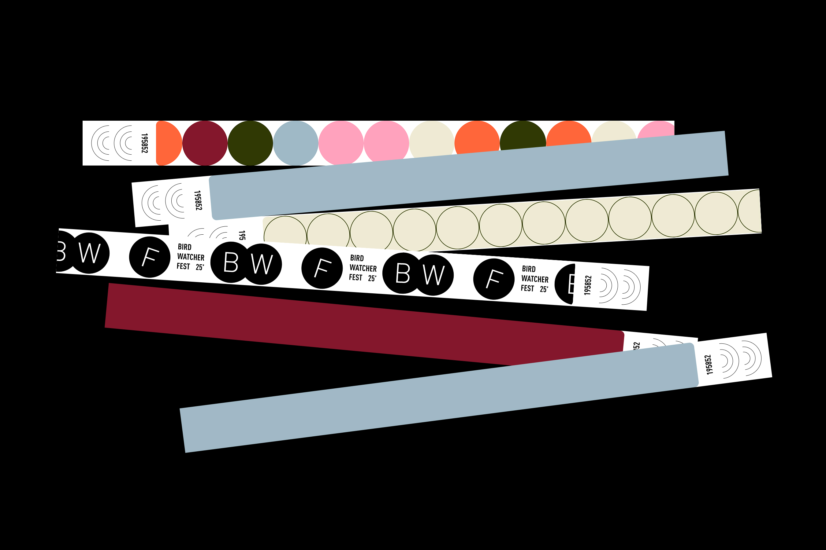 Орнитологический фестиваль — Изображение №12 — Брендинг на Dprofile