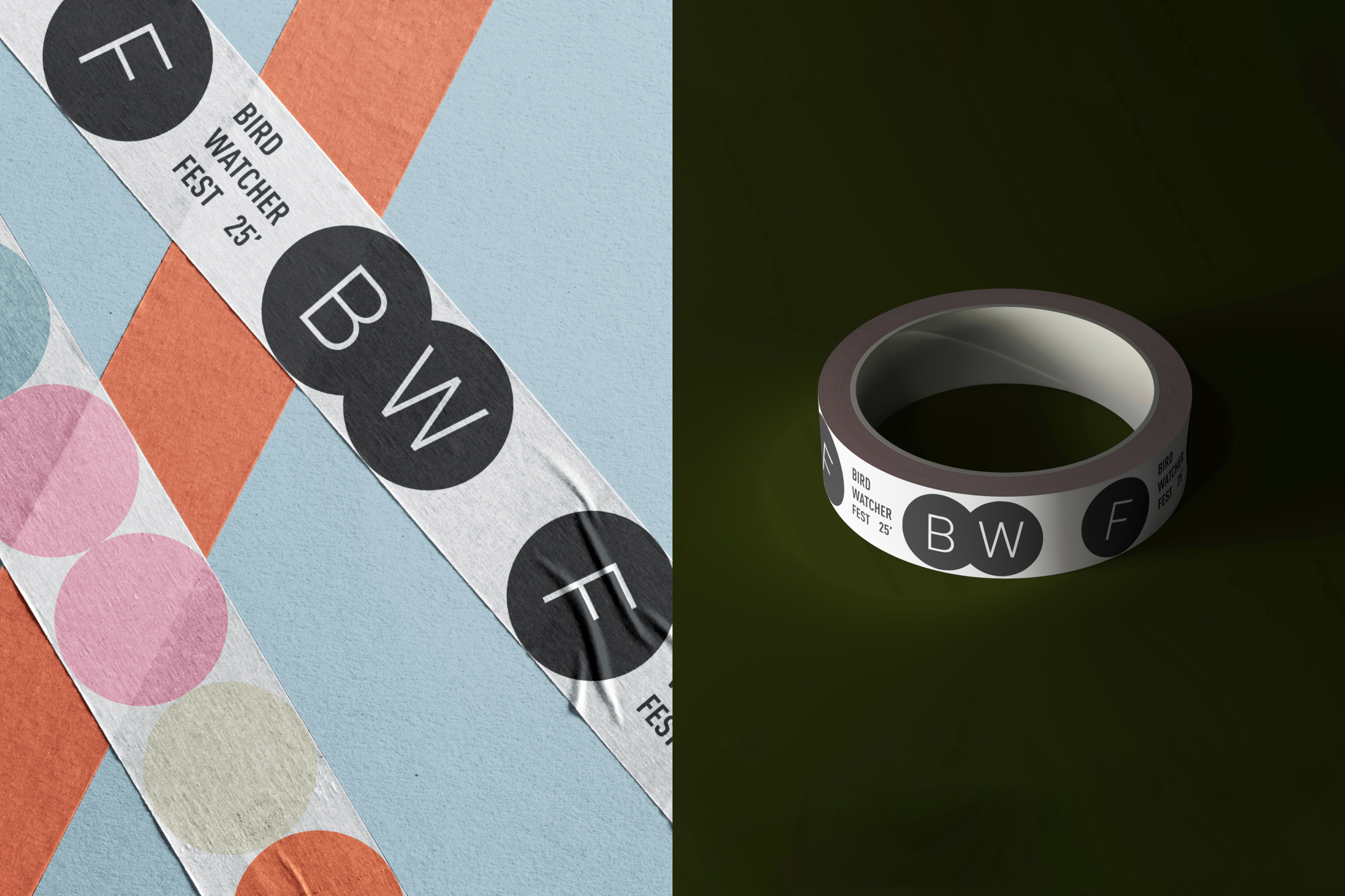 Орнитологический фестиваль — Изображение №13 — Брендинг на Dprofile