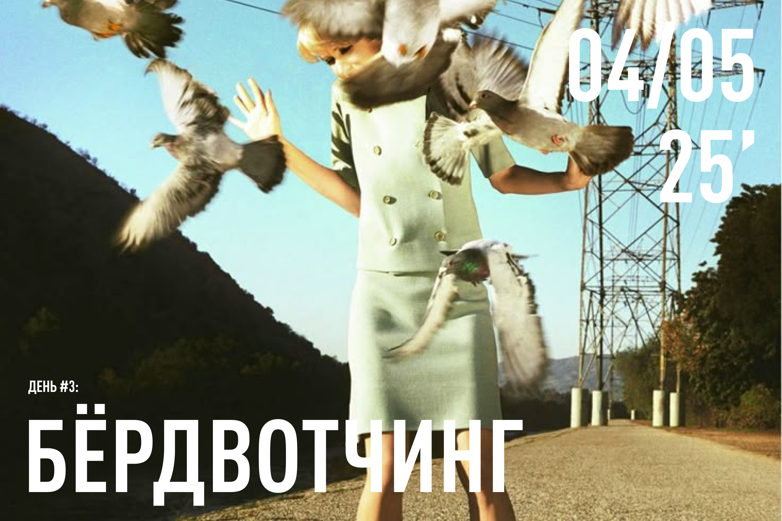 Орнитологический фестиваль — Изображение №6 — Брендинг на Dprofile