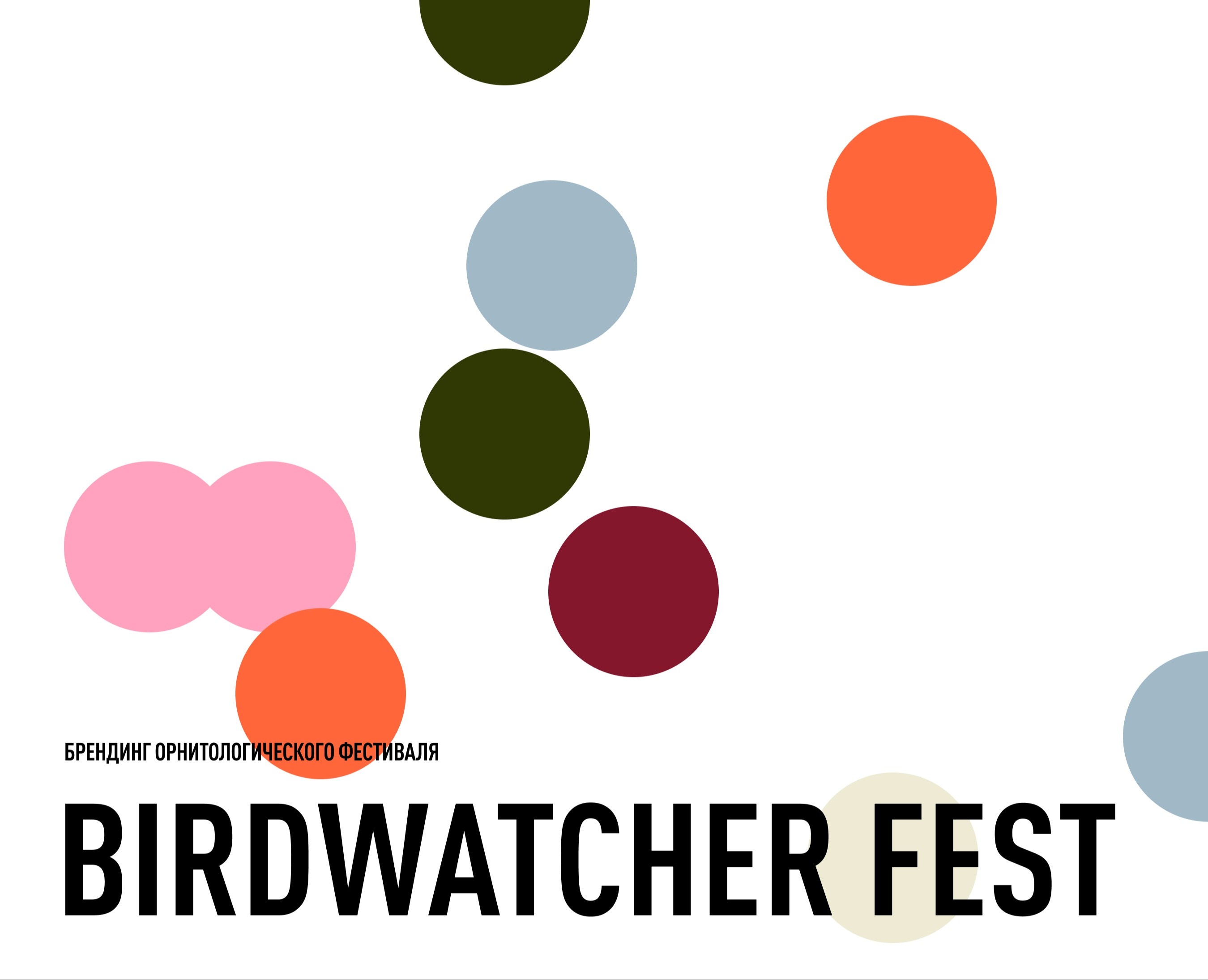 Орнитологический фестиваль — Брендинг на Dprofile
