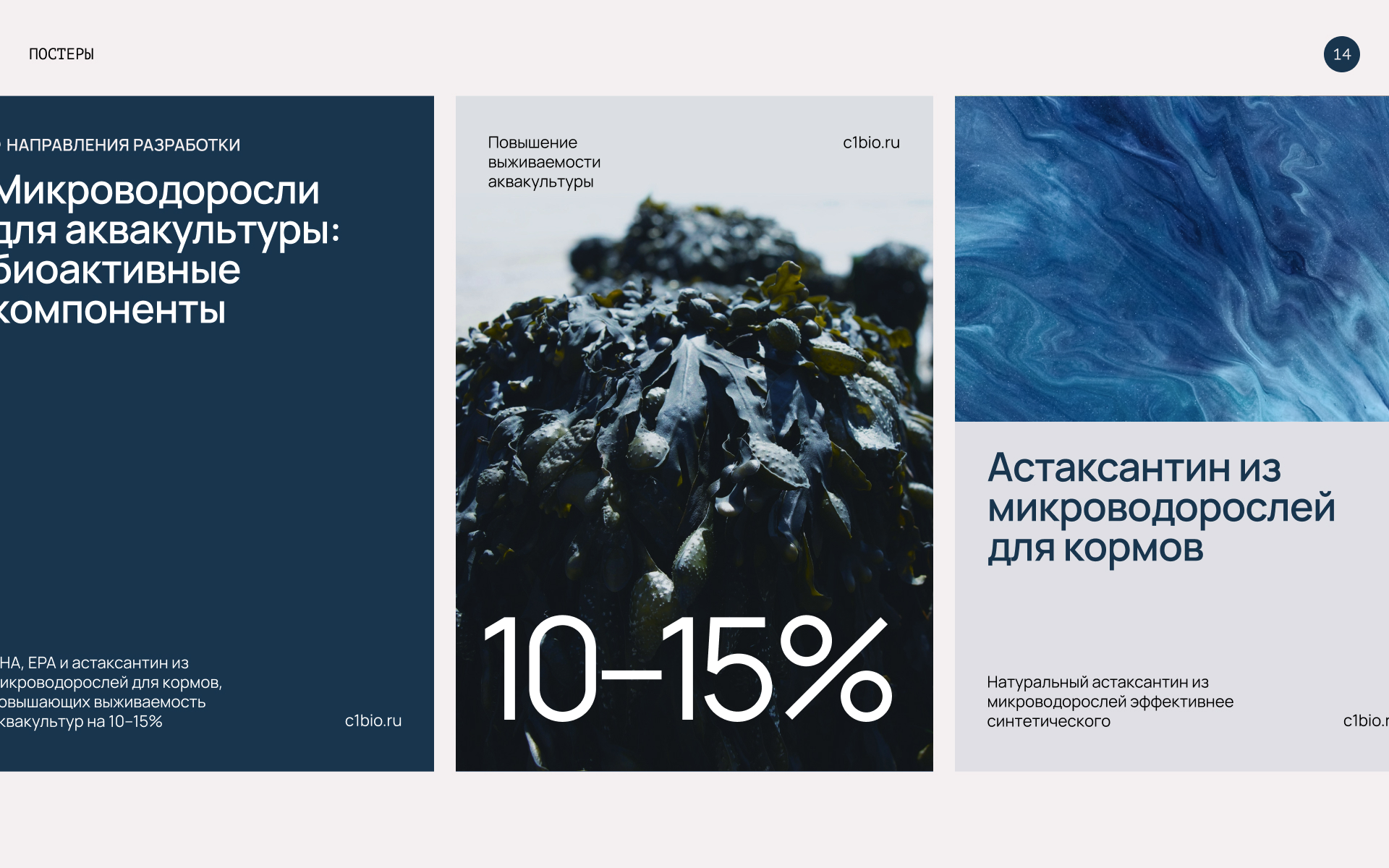 С1 БИО — Изображение №13 — Брендинг, Графика на Dprofile