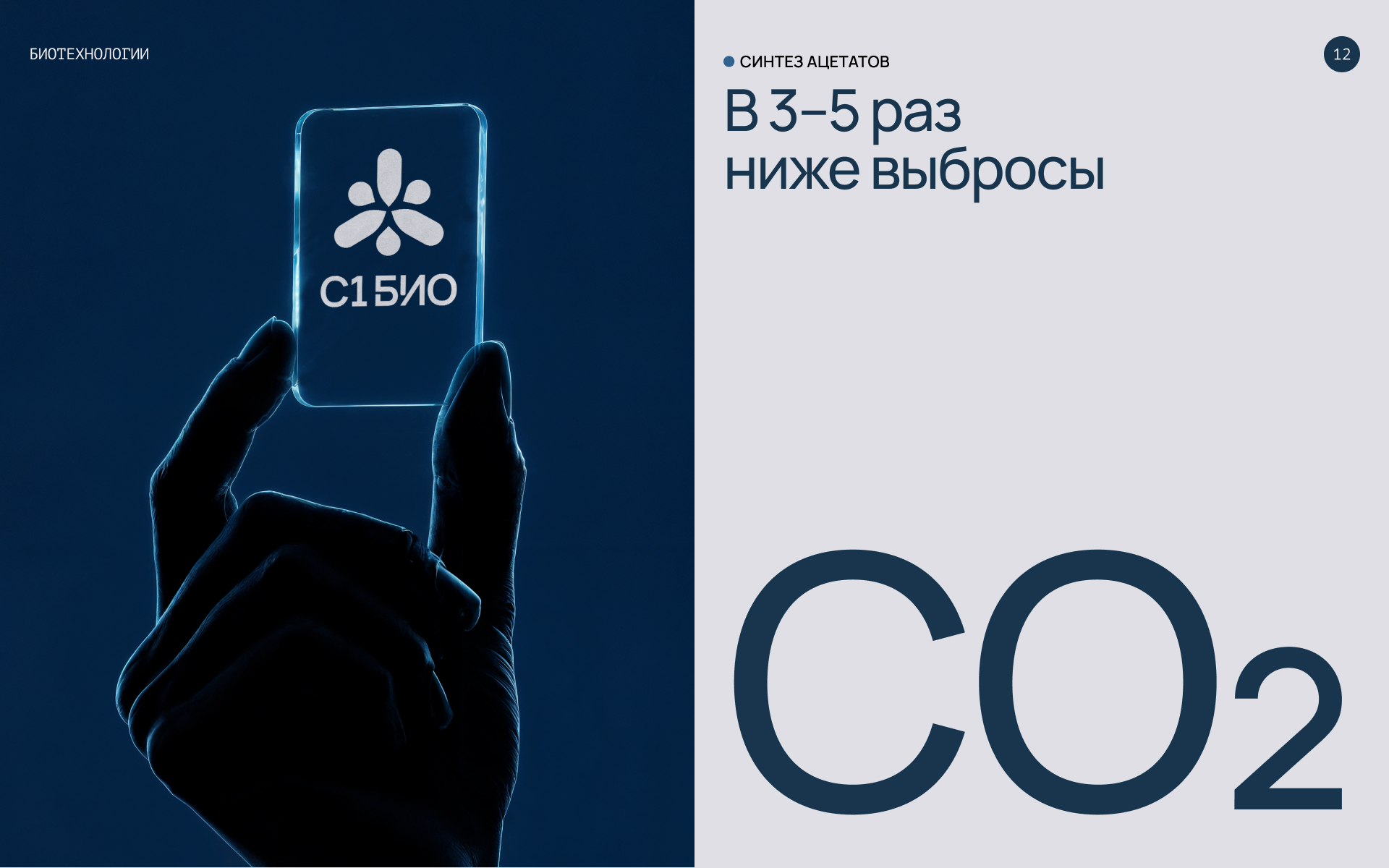 С1 БИО — Изображение №11 — Брендинг, Графика на Dprofile