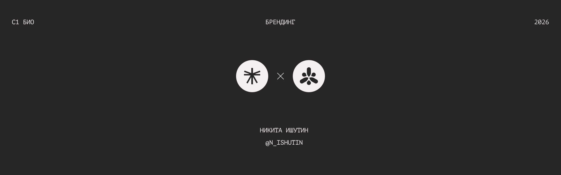 С1 БИО — Изображение №20 — Брендинг, Графика на Dprofile