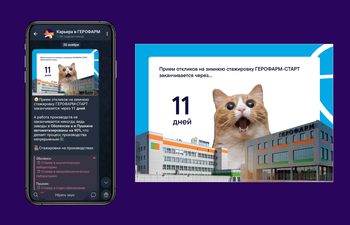 Оформление телеграм канала "Карьера в ГЕРОФАРМ" — Изображение №6 — Графика, Маркетинг на Dprofile