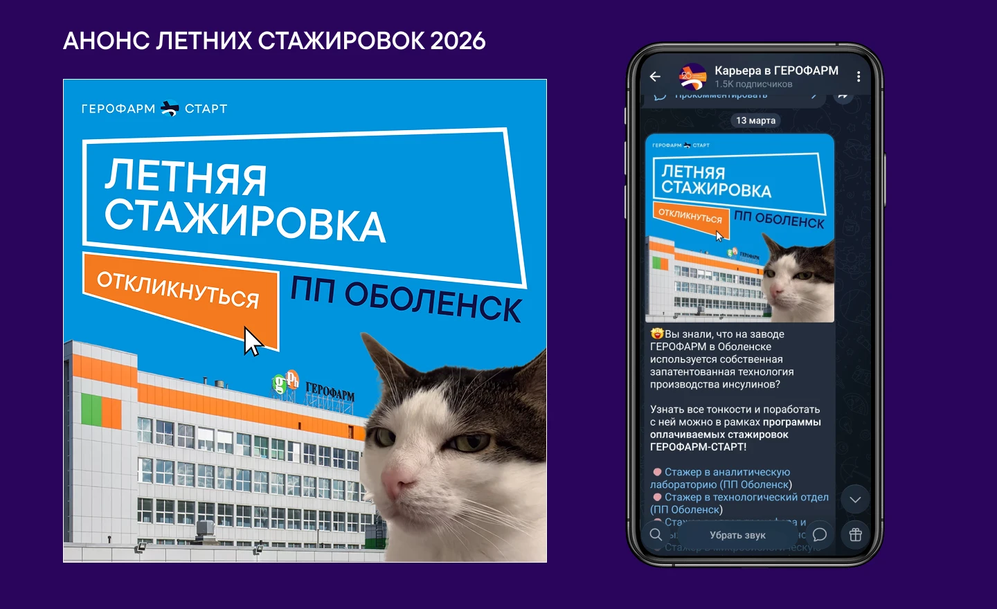 Оформление телеграм канала "Карьера в ГЕРОФАРМ" — Изображение №10 — Графика, Маркетинг на Dprofile