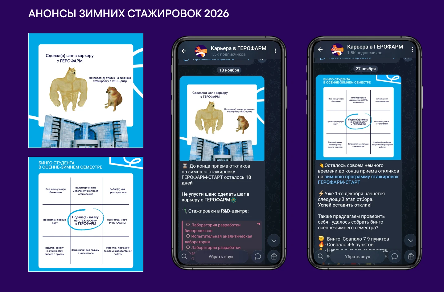 Оформление телеграм канала "Карьера в ГЕРОФАРМ" — Изображение №5 — Графика, Маркетинг на Dprofile