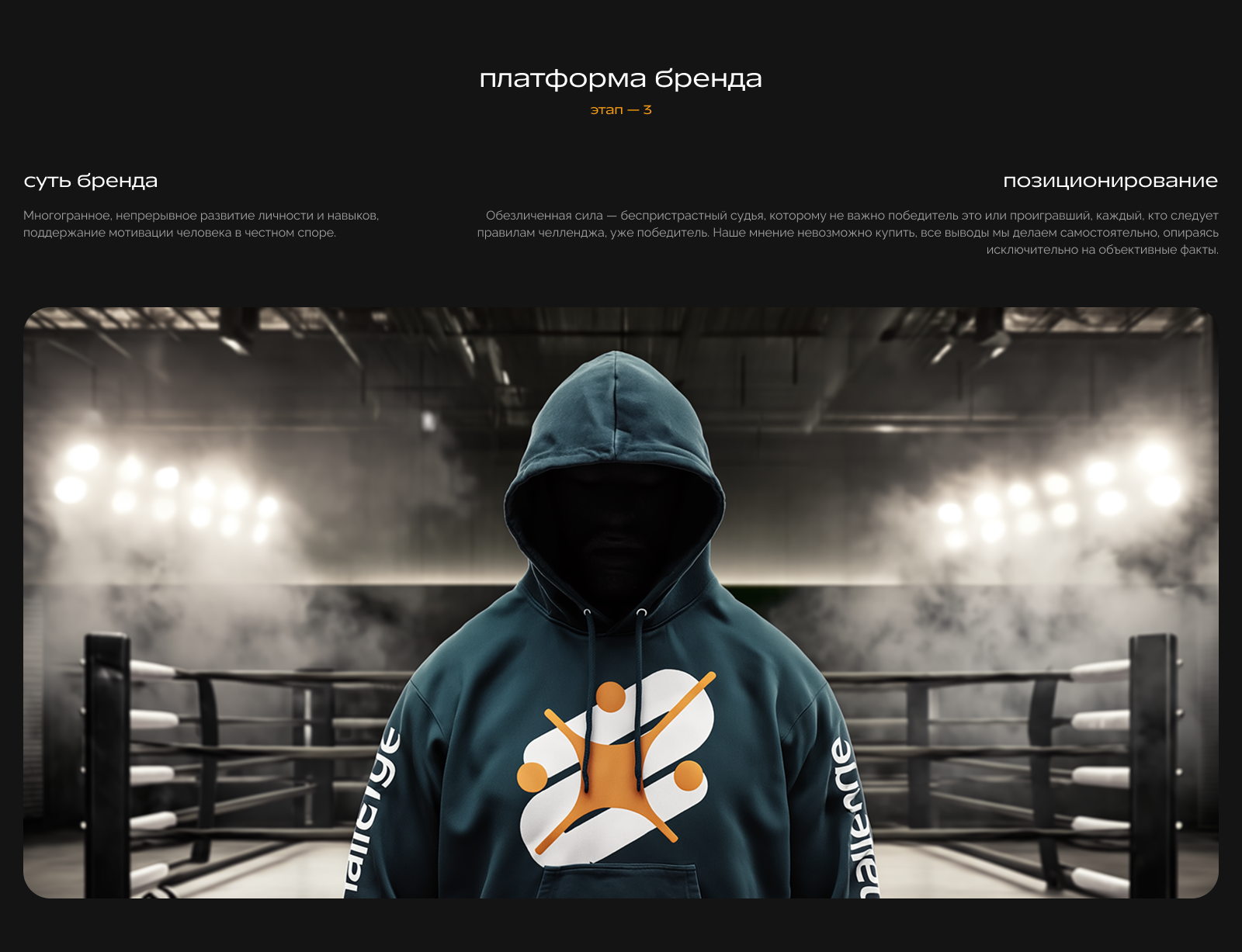 Your Challenge — разработка бренда для продукта — Изображение №7 — Брендинг, Маркетинг на Dprofile