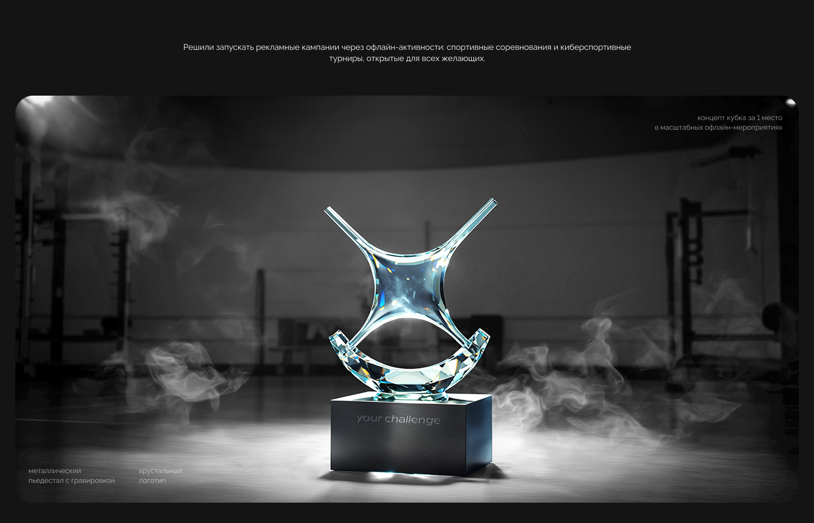 Your Challenge — разработка бренда для продукта — Изображение №11 — Брендинг, Маркетинг на Dprofile