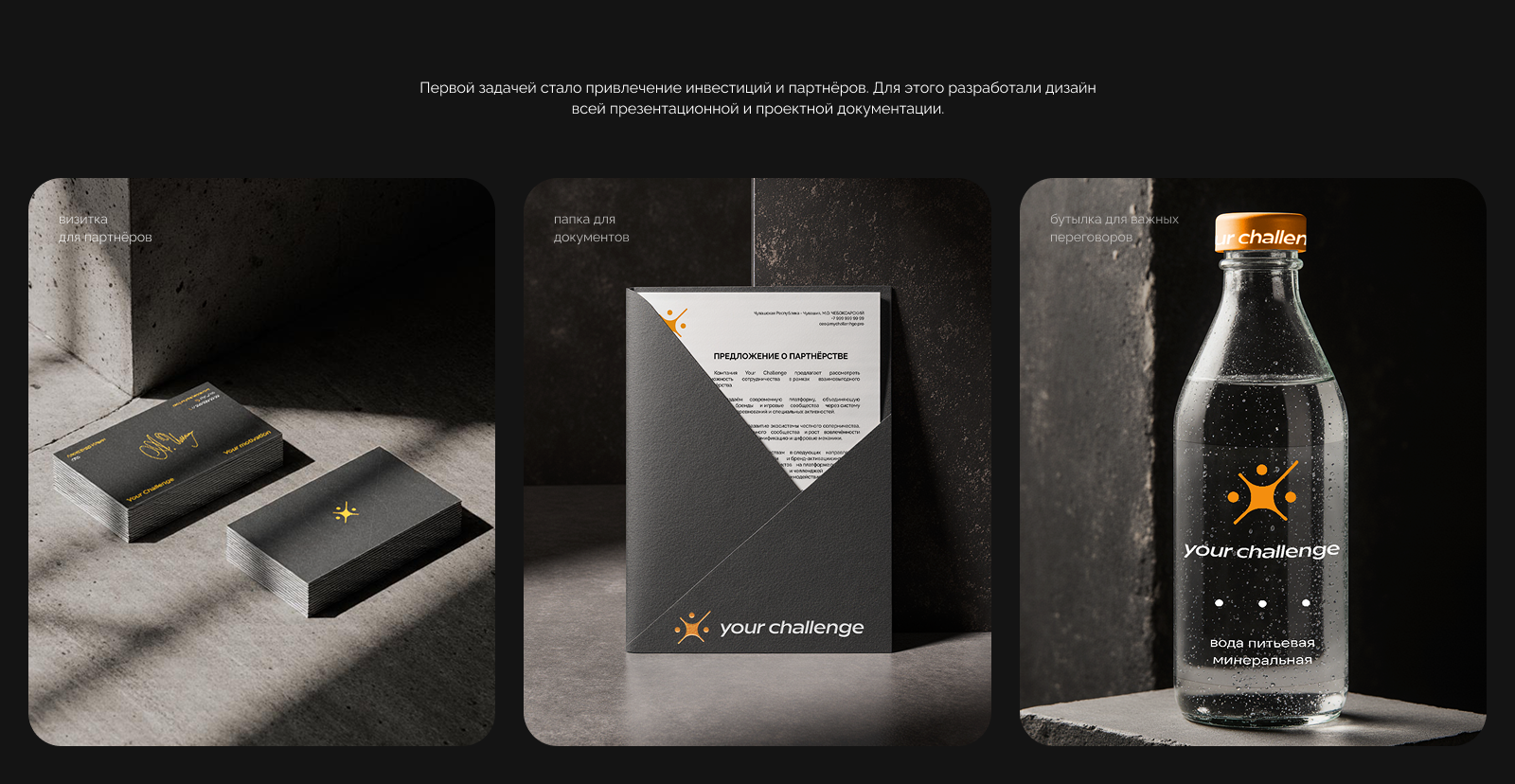 Your Challenge — разработка бренда для продукта — Изображение №9 — Брендинг, Маркетинг на Dprofile