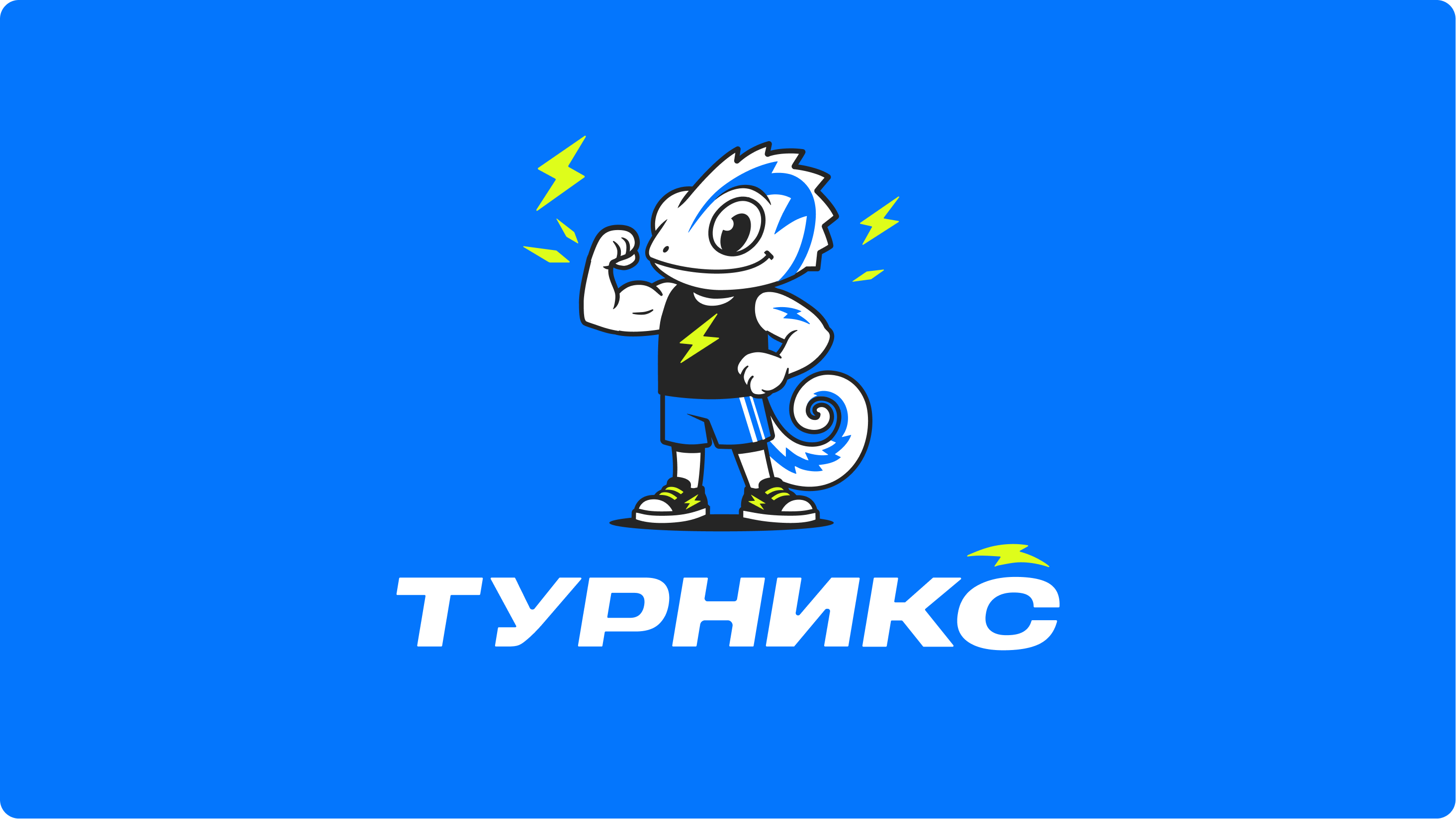 Турникс | Сеть спортивных центров — Изображение №2 — Брендинг, Иллюстрация на Dprofile