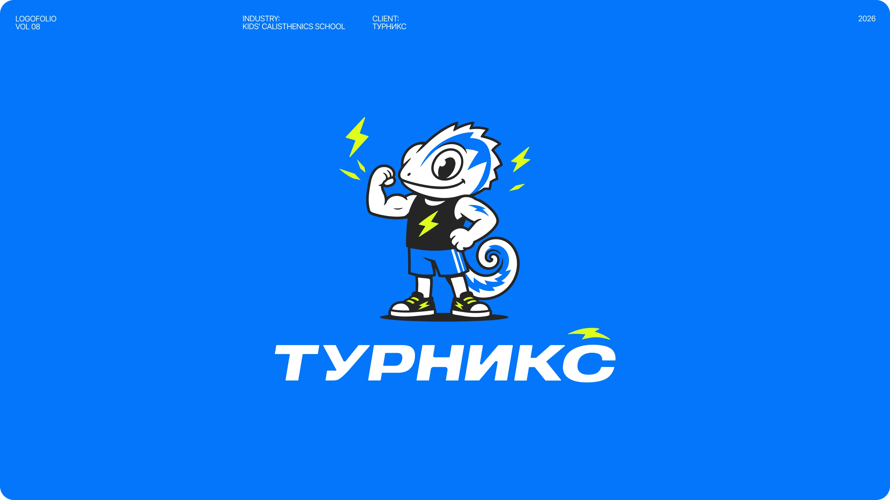 BRAND&MASCOT FOLIO VOL.08 — Изображение №5 — Брендинг на Dprofile