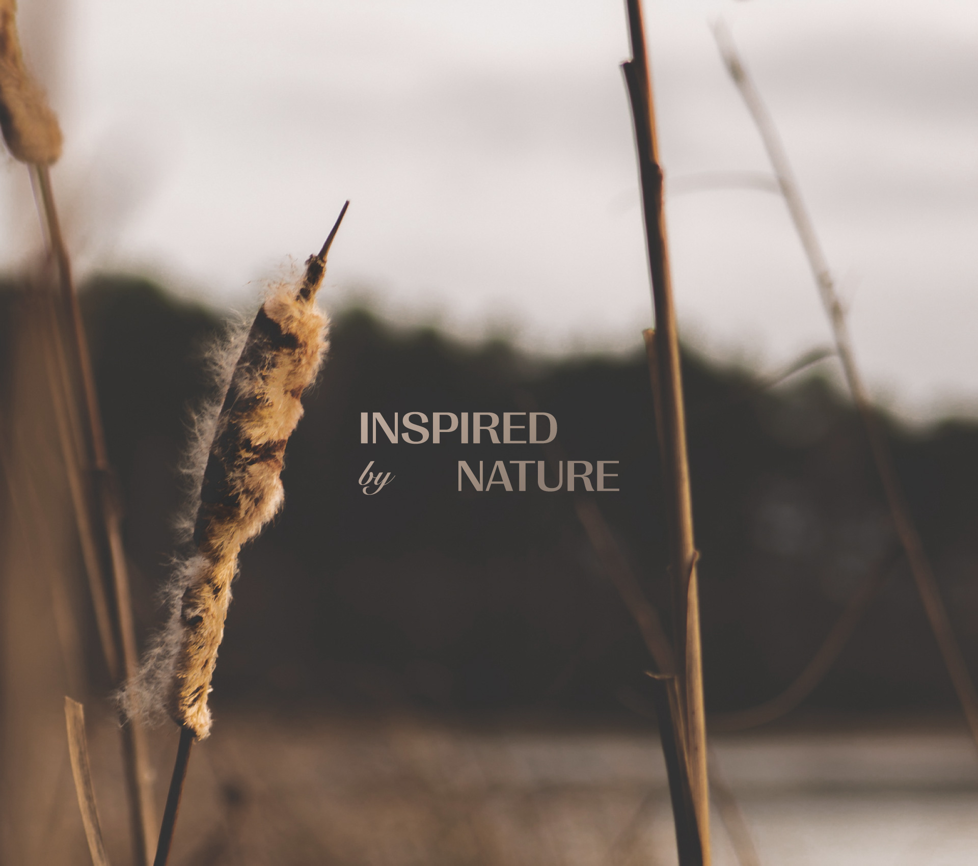 KACSA — Изображение №4 — Брендинг на Dprofile