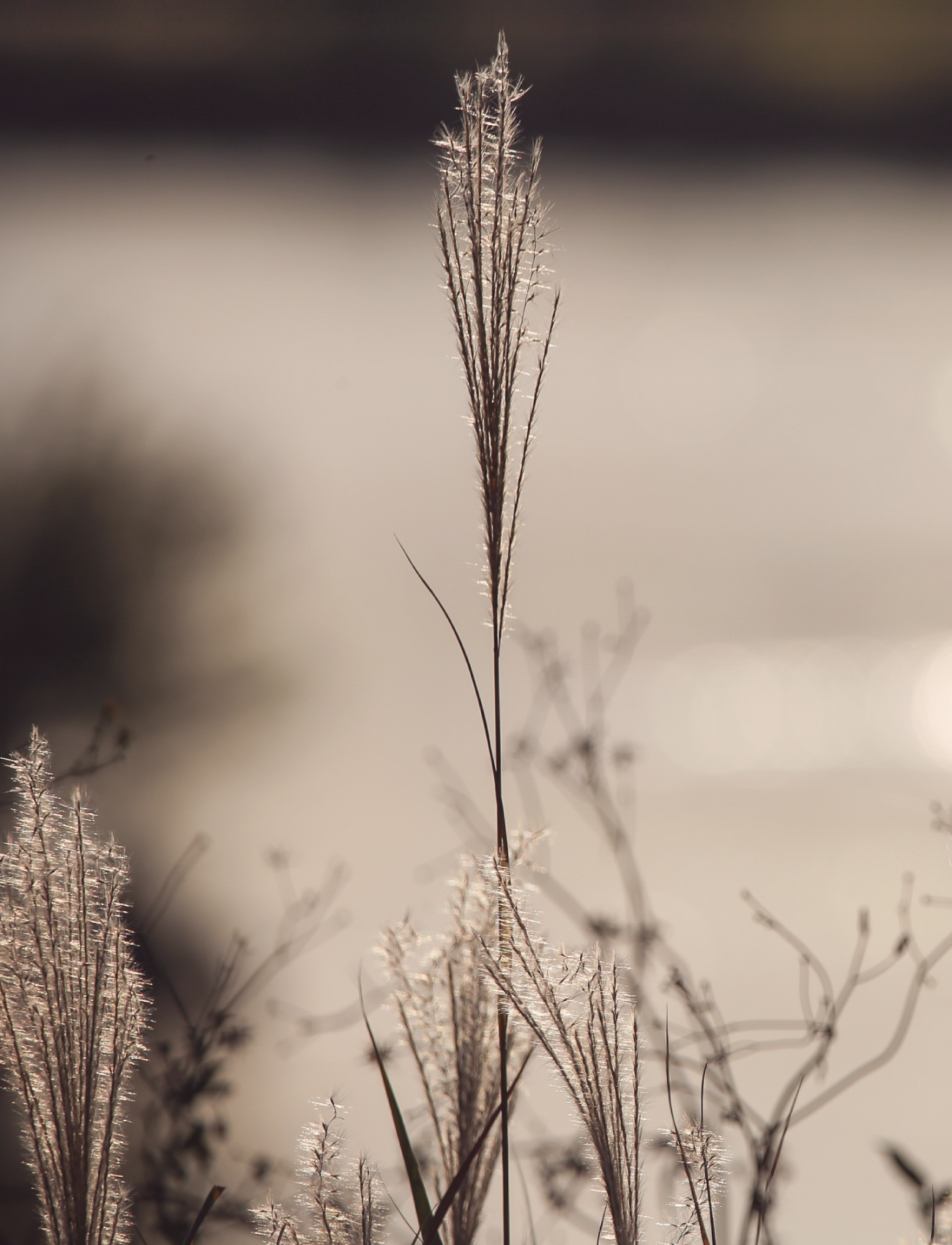 KACSA — Изображение №19 — Брендинг на Dprofile