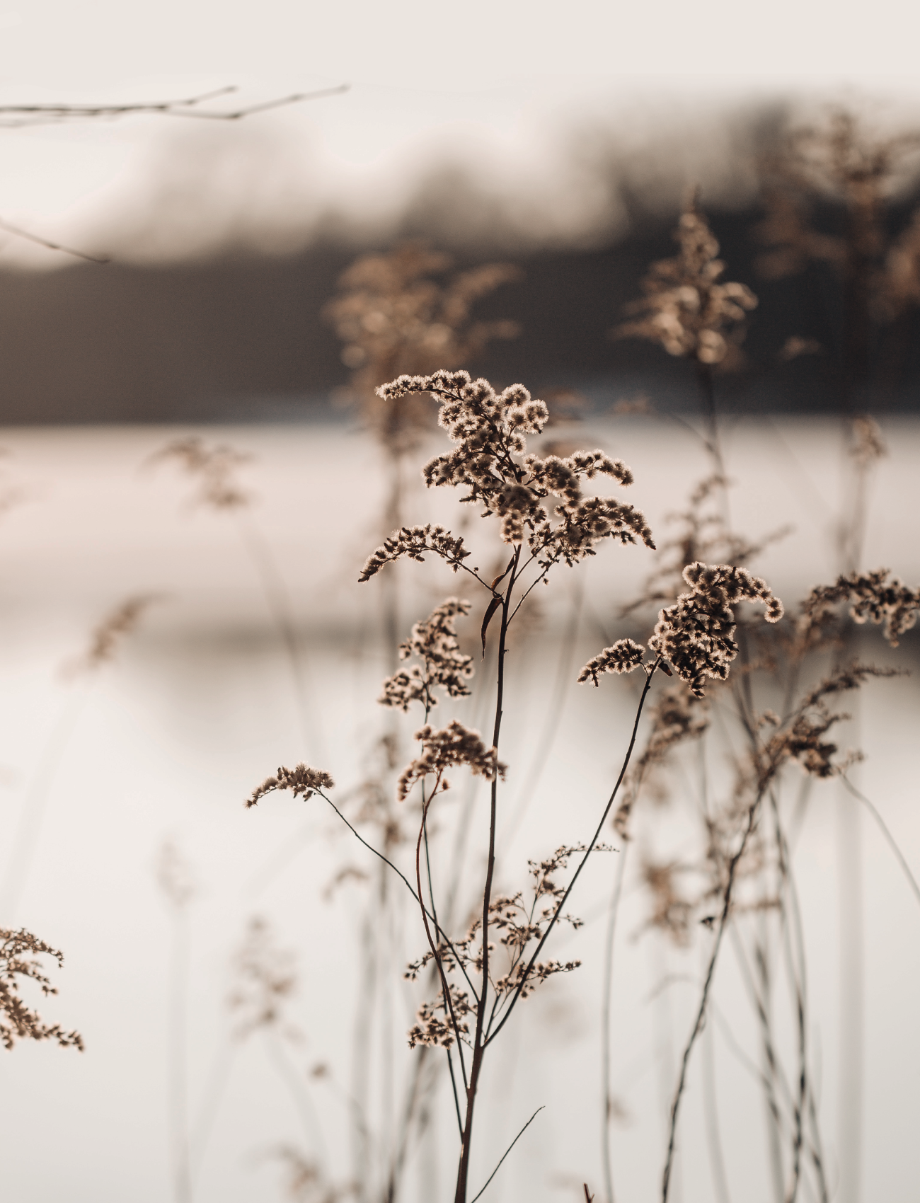 KACSA — Изображение №6 — Брендинг на Dprofile