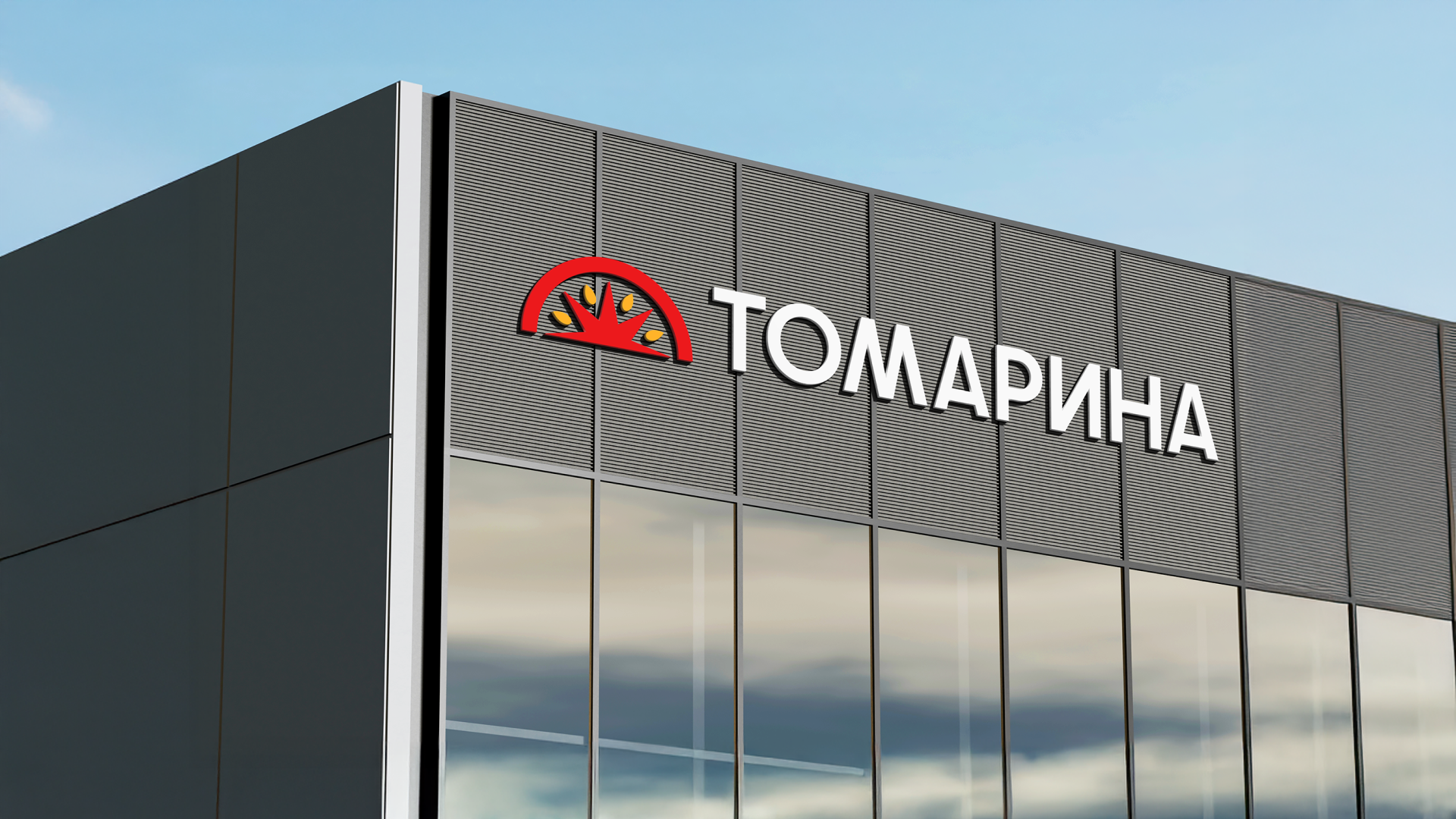 Томарина — Изображение №16 — Брендинг на Dprofile