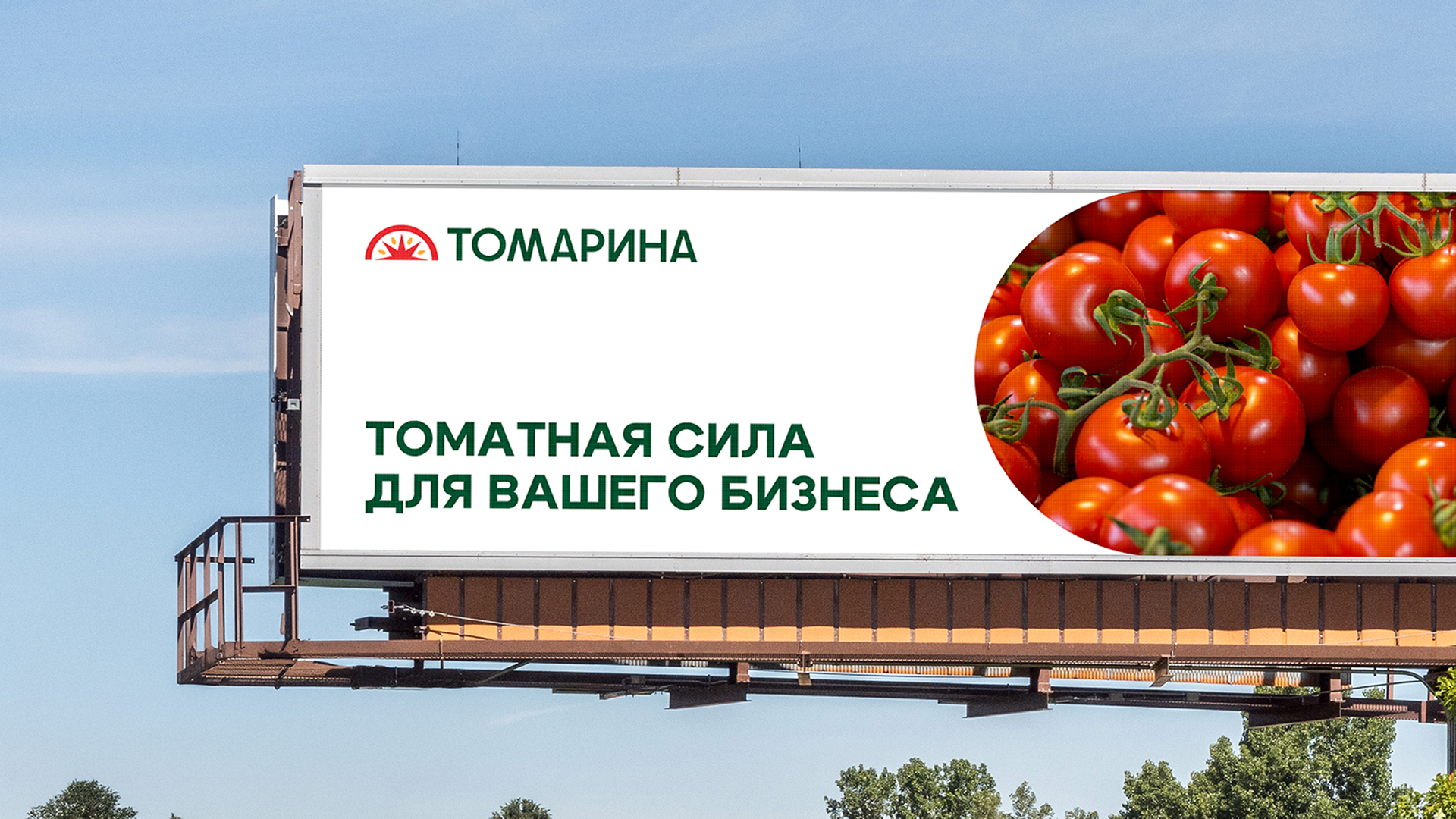 Томарина — Изображение №17 — Брендинг на Dprofile