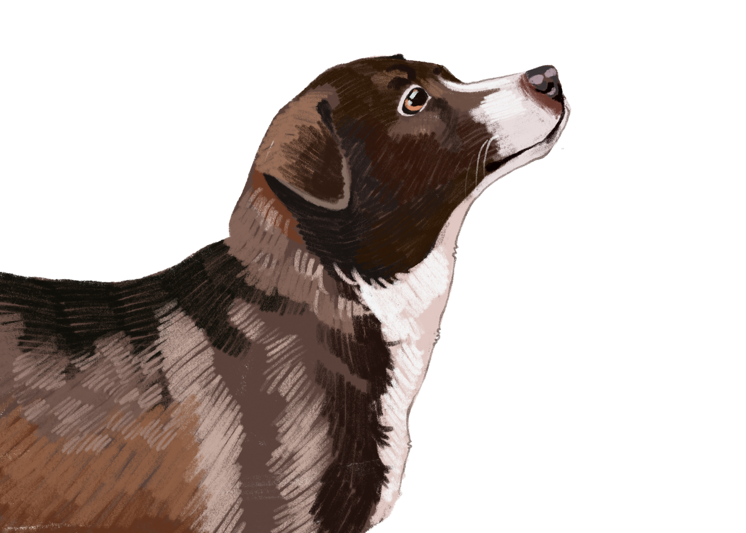 Календарь "Сострадание НН" х "Кантри" — Изображение №16 — Иллюстрация на Dprofile