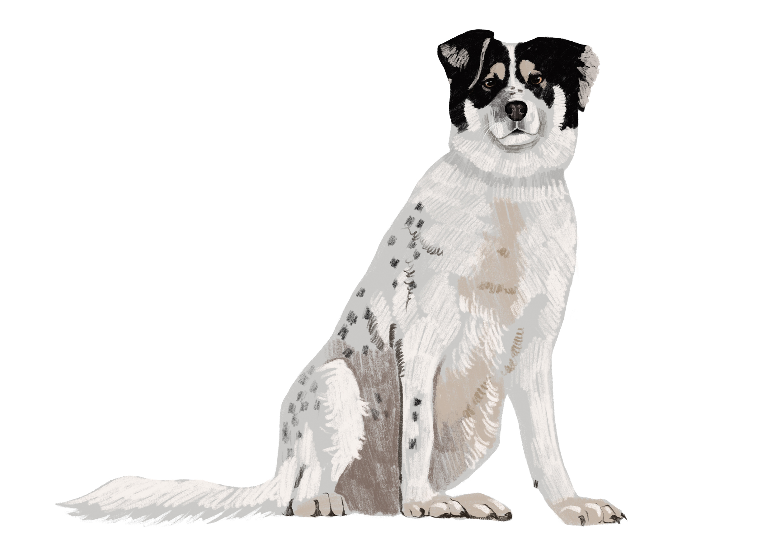 Календарь "Сострадание НН" х "Кантри" — Изображение №18 — Иллюстрация на Dprofile