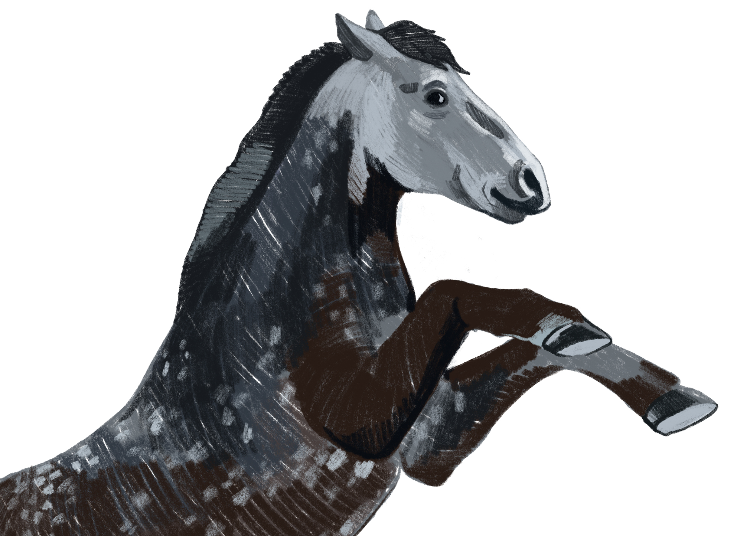 Календарь "Сострадание НН" х "Кантри" — Изображение №17 — Иллюстрация на Dprofile