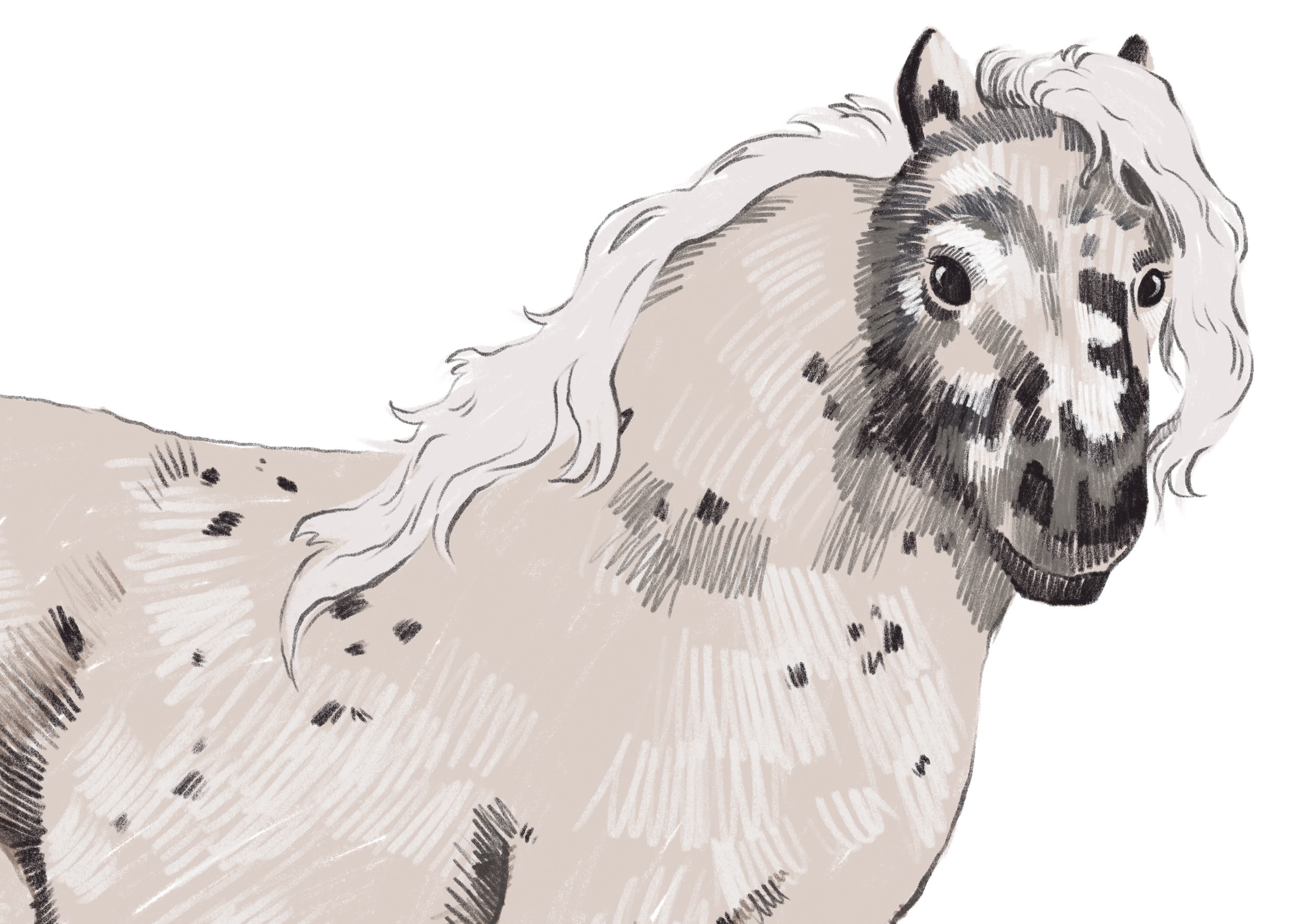 Календарь "Сострадание НН" х "Кантри" — Изображение №19 — Иллюстрация на Dprofile