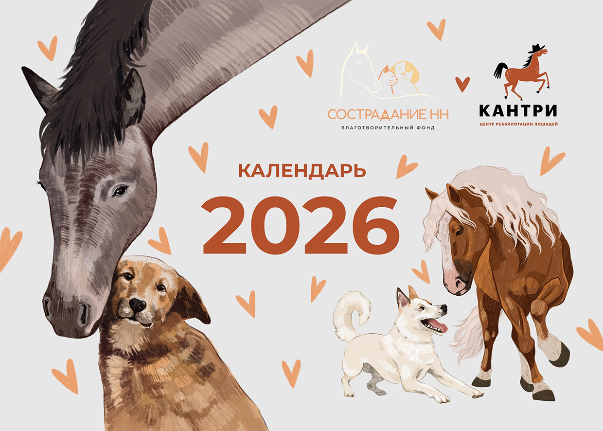 Календарь "Сострадание НН" х "Кантри" — Изображение №1 — Иллюстрация на Dprofile