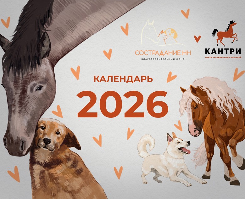 Календарь "Сострадание НН" х "Кантри" на Dprofile
