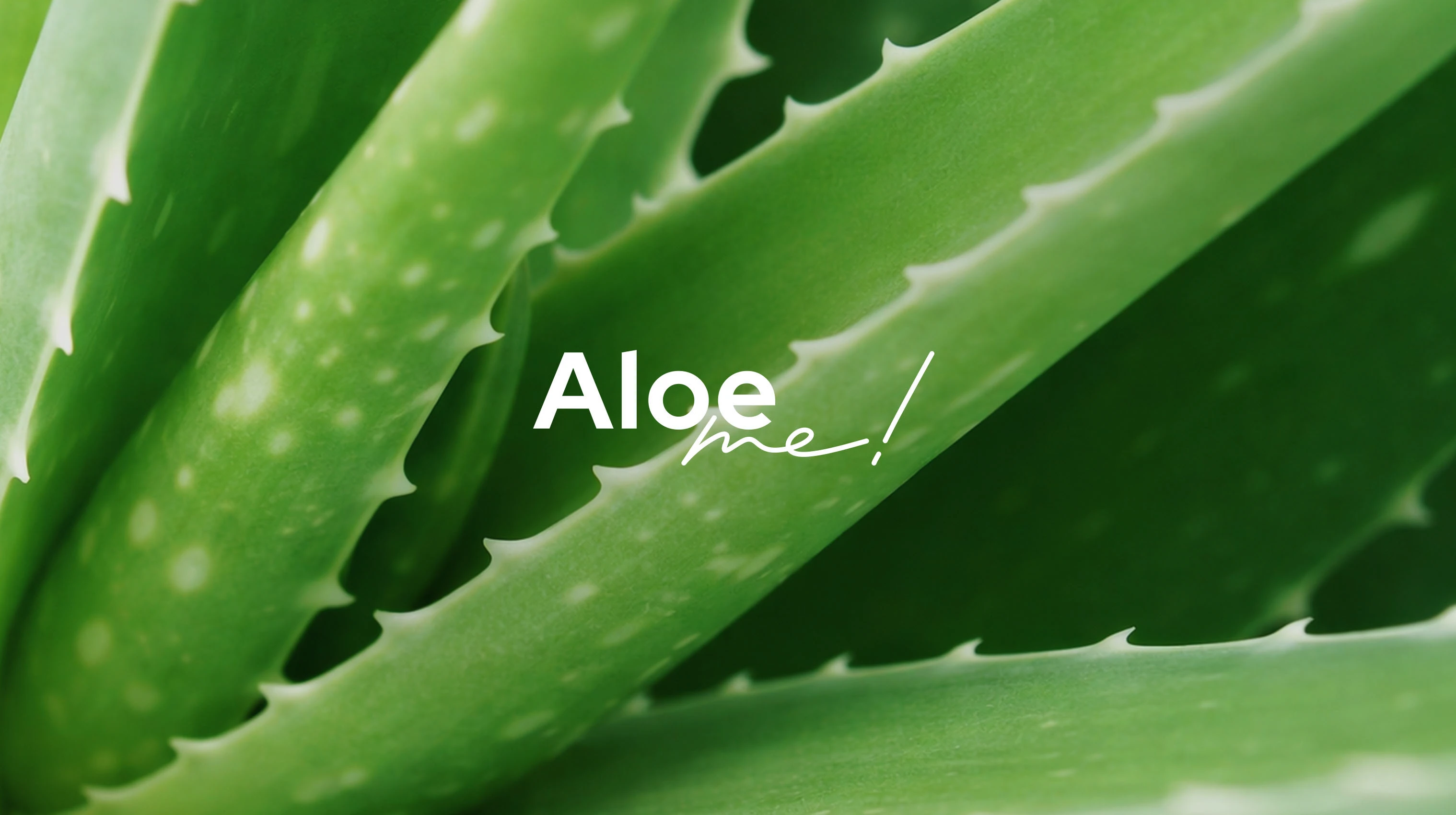 Логотип и упаковка для бренда косметики «Aloe me!» — Изображение №1 — Брендинг, Промдизайн на Dprofile