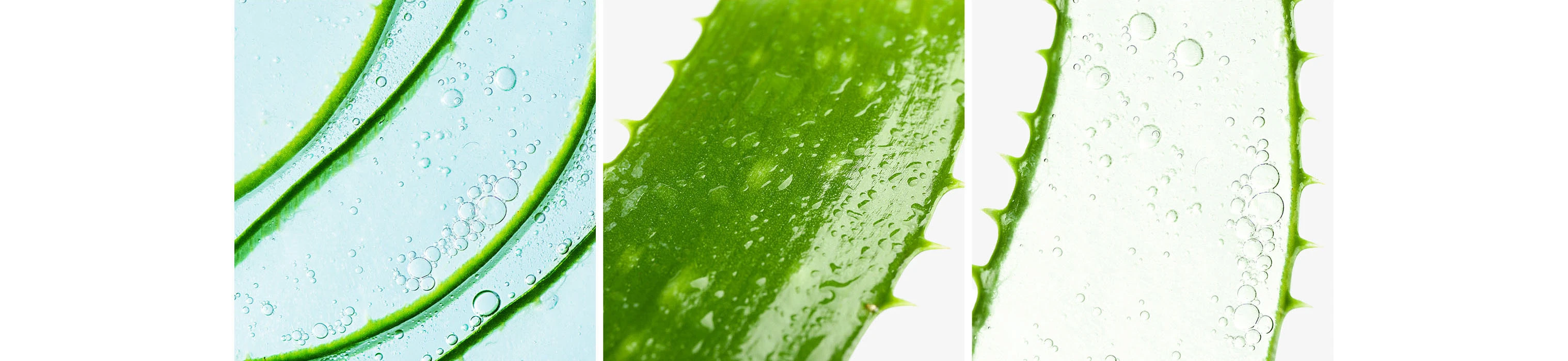Логотип и упаковка для бренда косметики «Aloe me!» — Изображение №3 — Брендинг, Промдизайн на Dprofile
