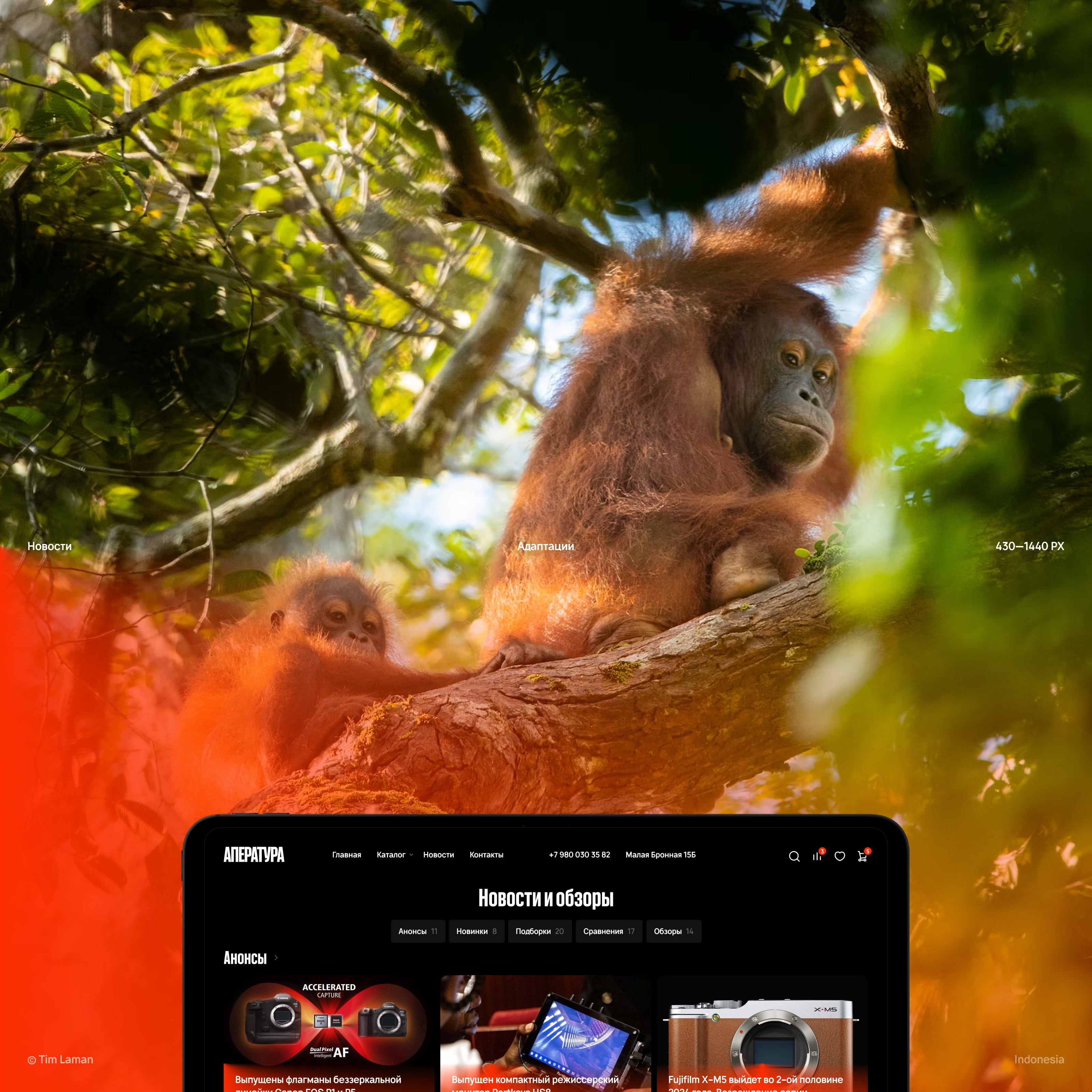 Апература — Remastered — Изображение №13 — Интерфейсы, Анимация на Dprofile