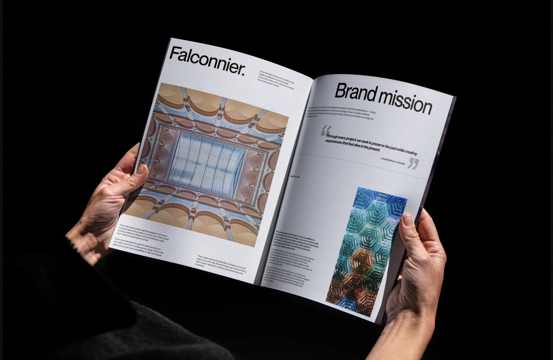 Falconnier — Изображение №2 — Интерфейсы, Брендинг на Dprofile