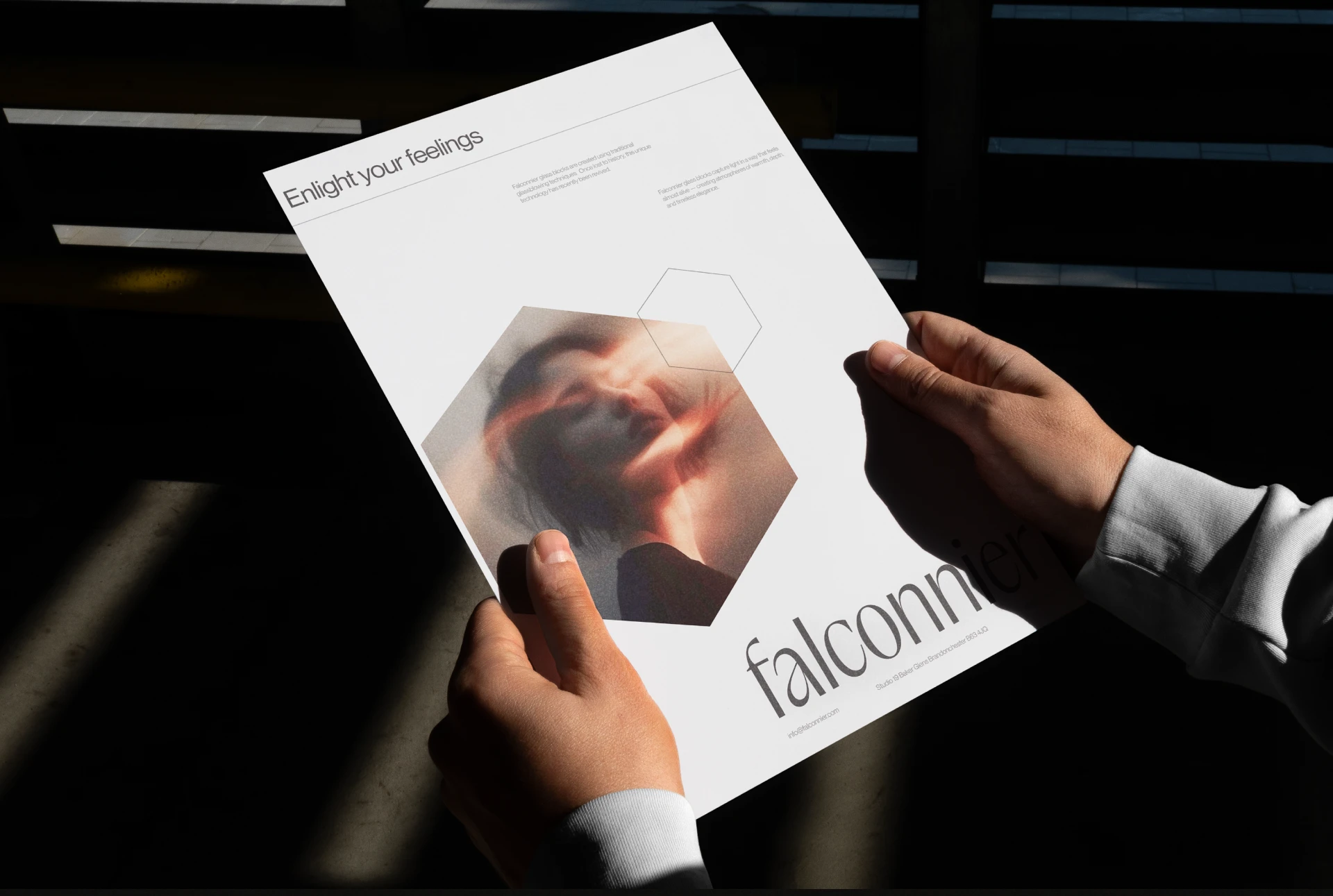 Falconnier — Изображение №8 — Интерфейсы, Брендинг на Dprofile