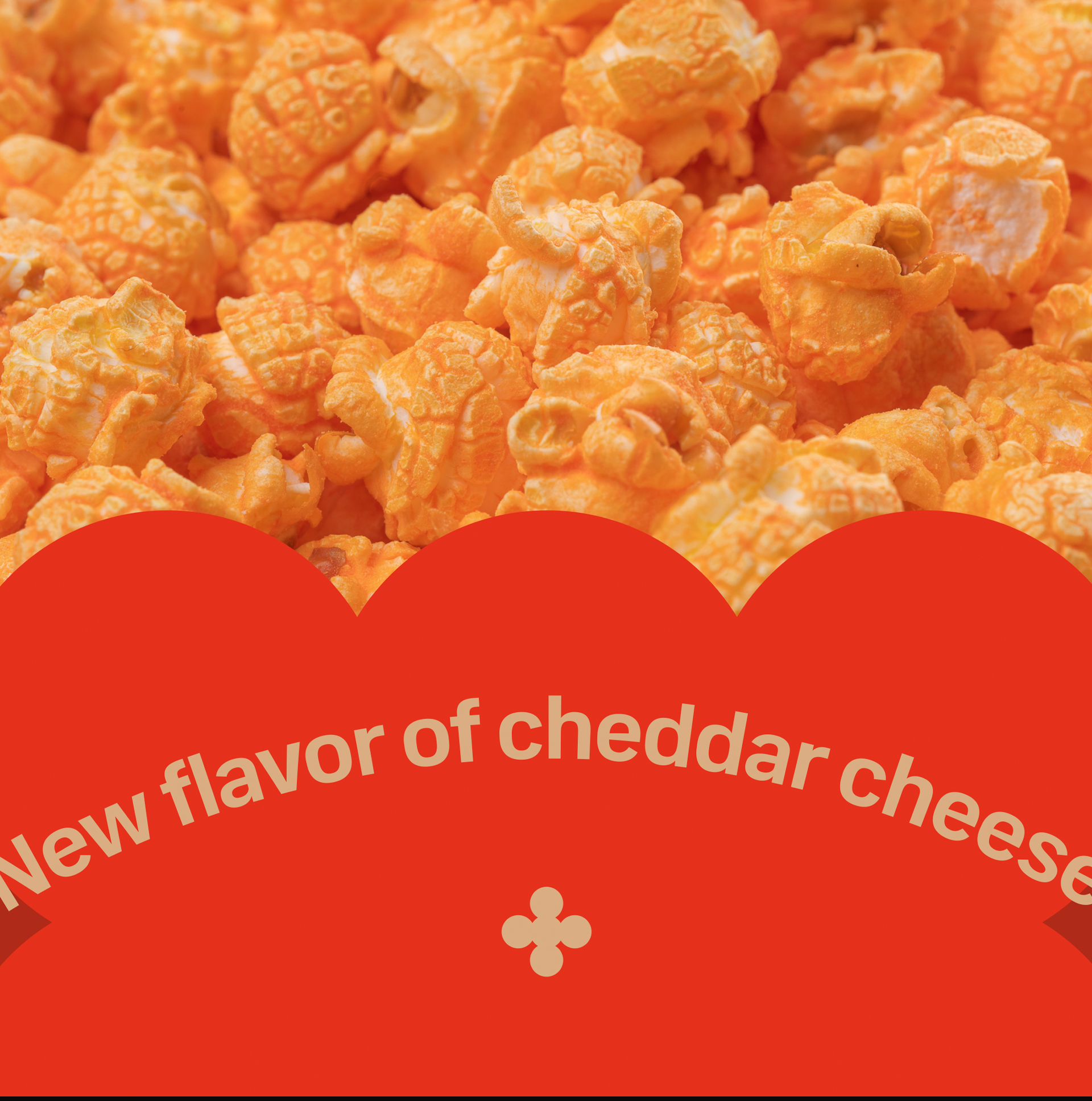 ZZ POP — Изображение №11 — Брендинг, Графика на Dprofile