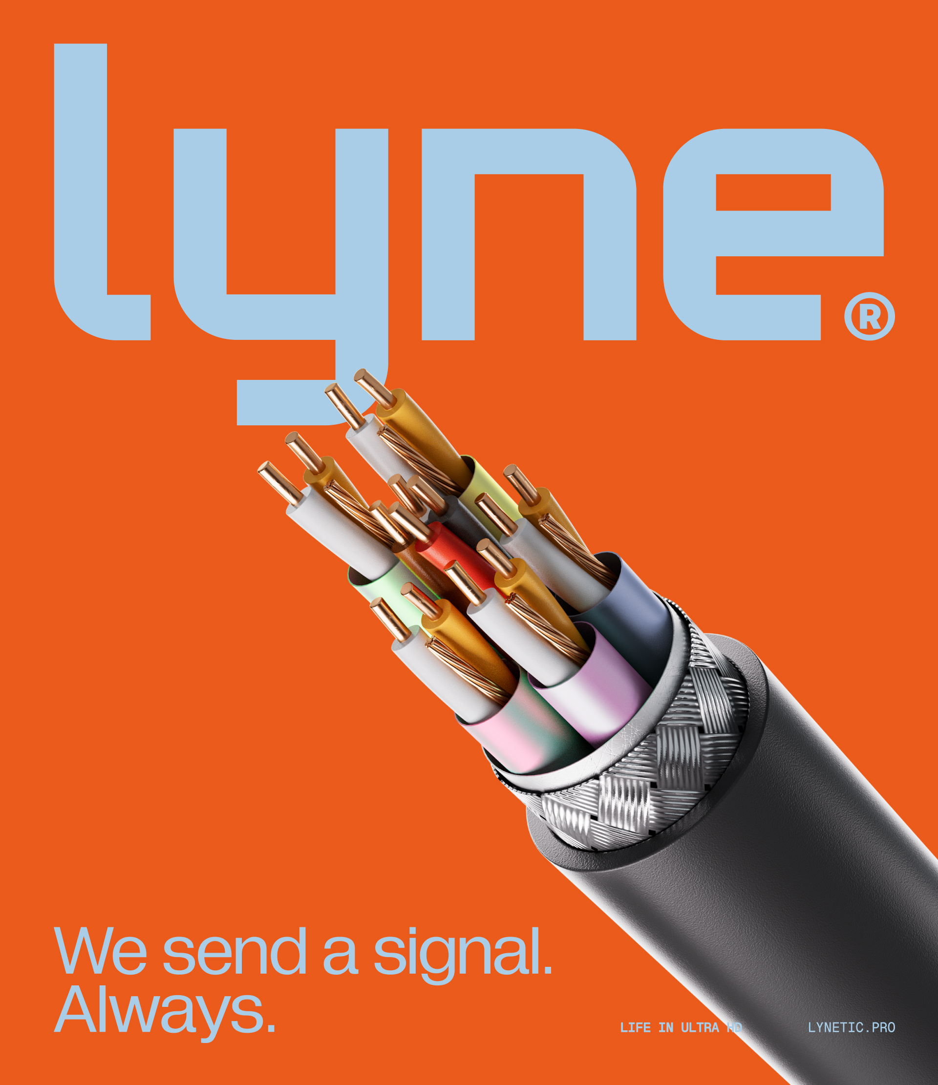 Lyne — Изображение №14 — Брендинг на Dprofile