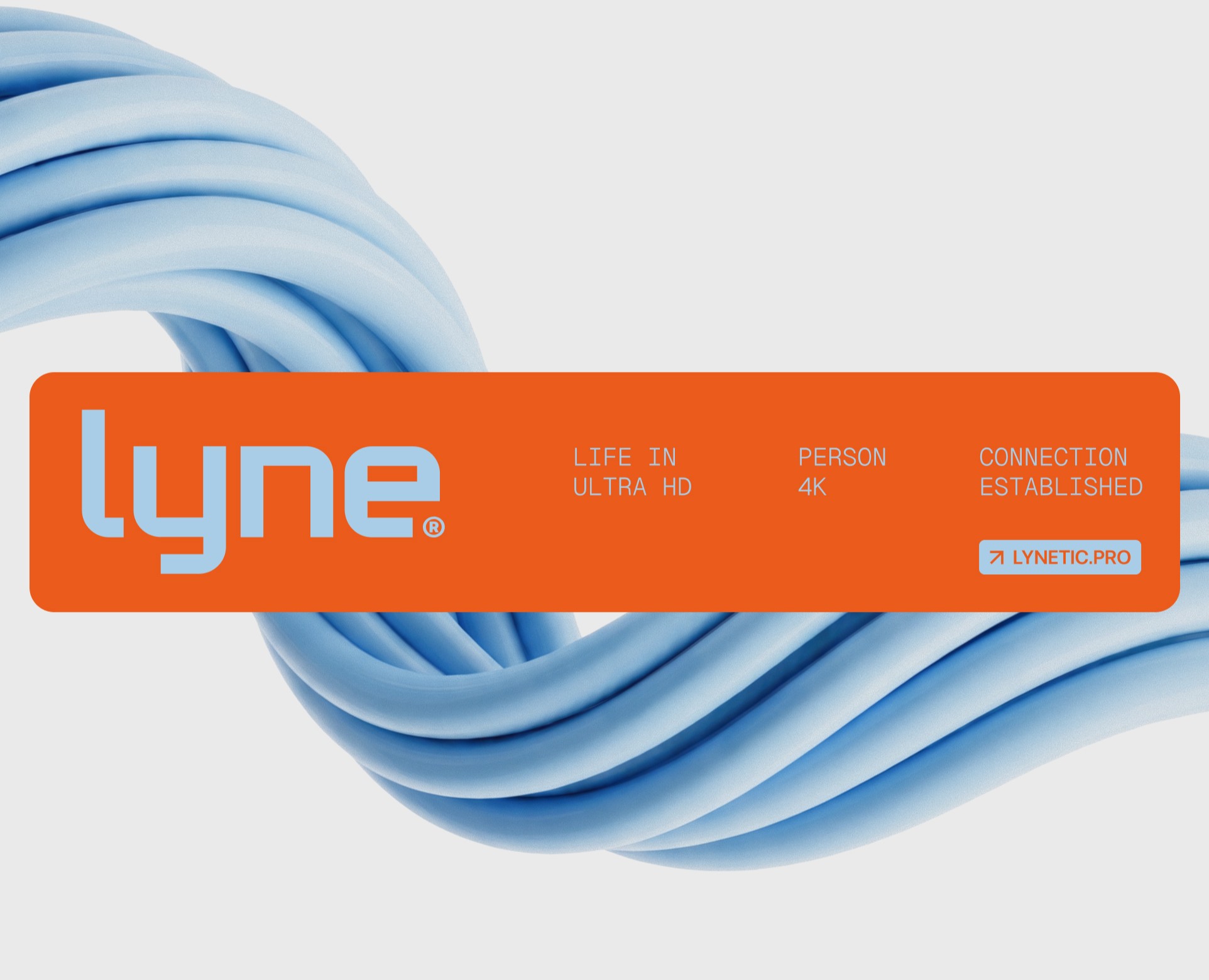 Lyne — Брендинг на Dprofile