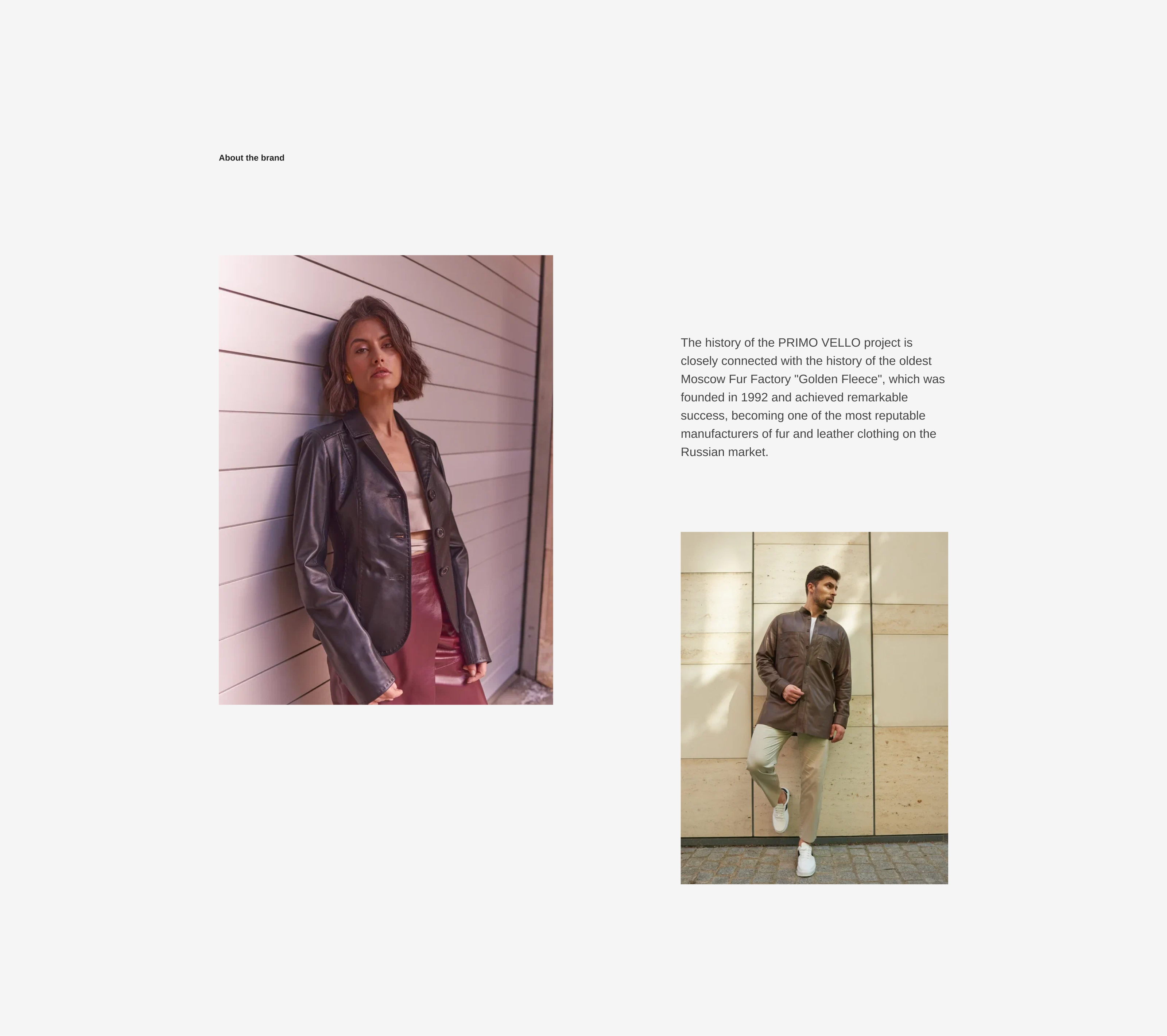 PRIMO VELLO — Изображение №2 — Интерфейсы, Анимация на Dprofile