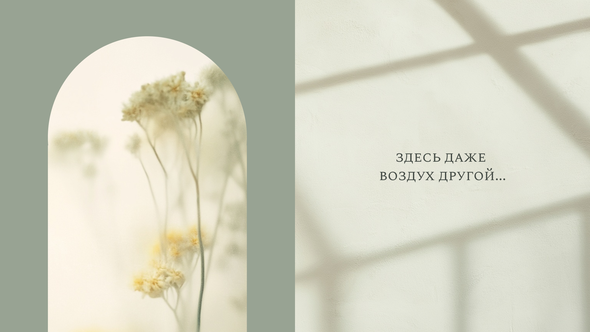 ( ОРАНЖЕРИ ) Студия красоты — Изображение №2 — Брендинг на Dprofile