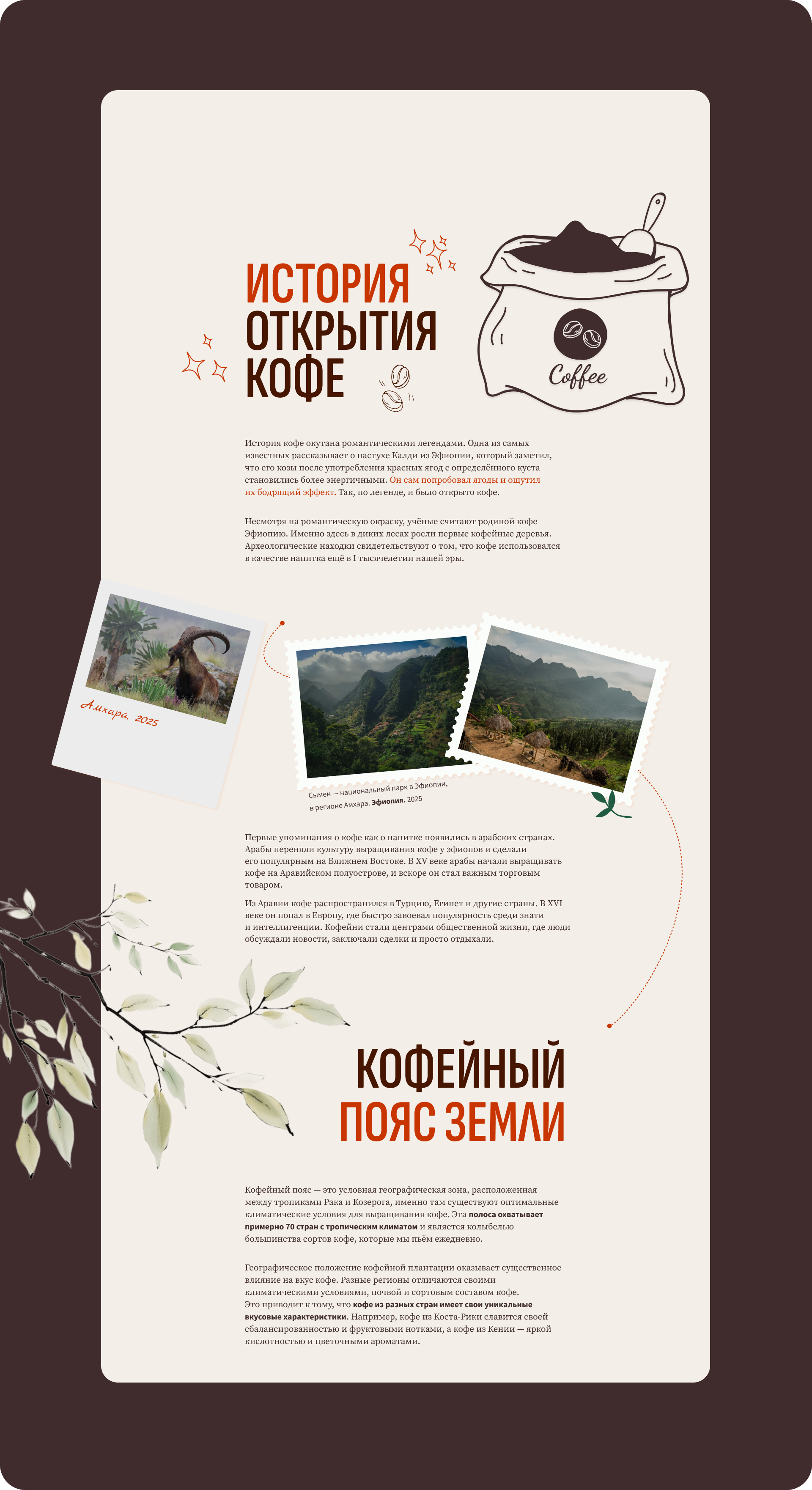 Мир кофе | Лонгрид — Изображение №9 — Интерфейсы на Dprofile