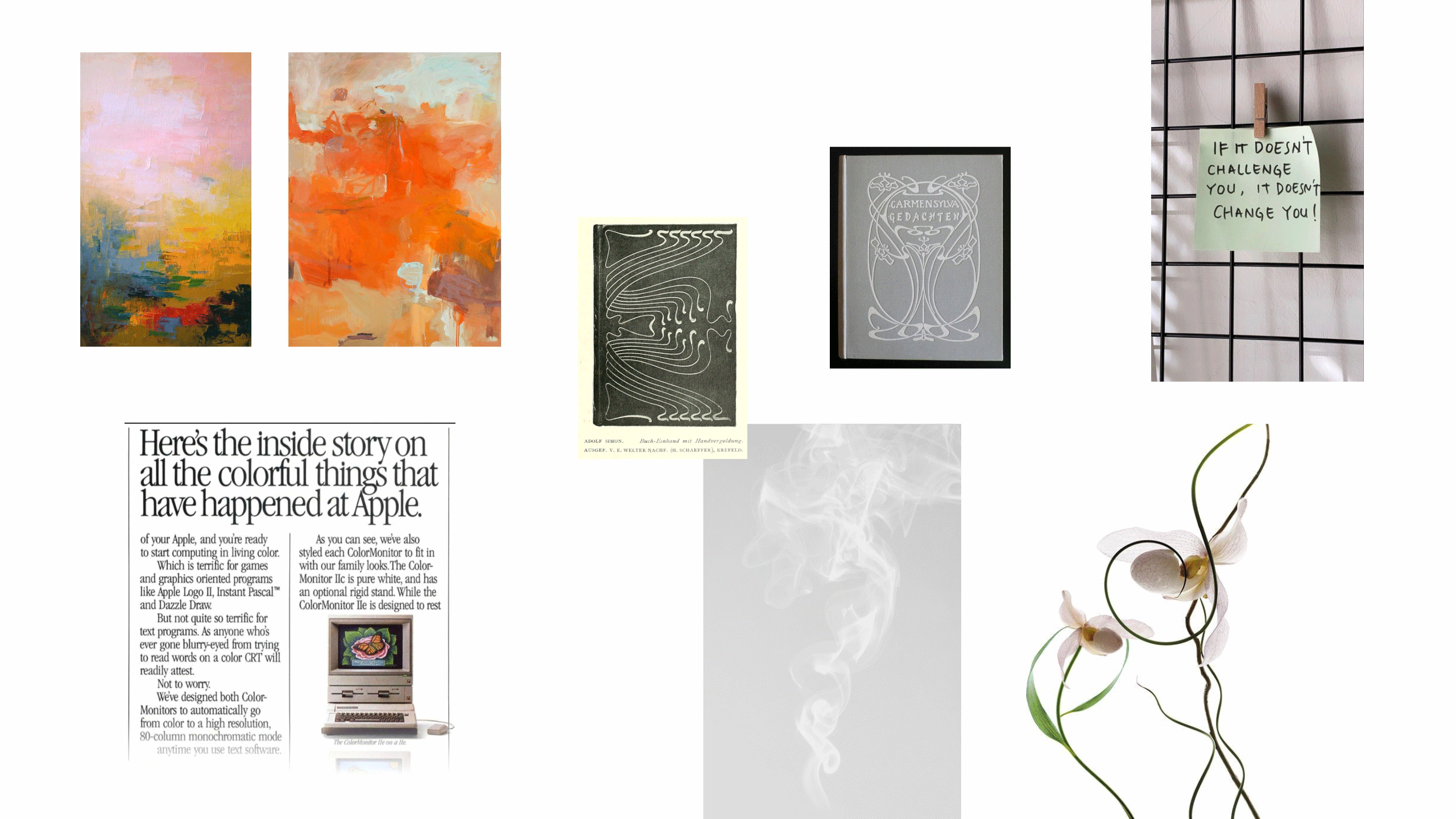 iBERRI — Изображение №2 — Брендинг на Dprofile