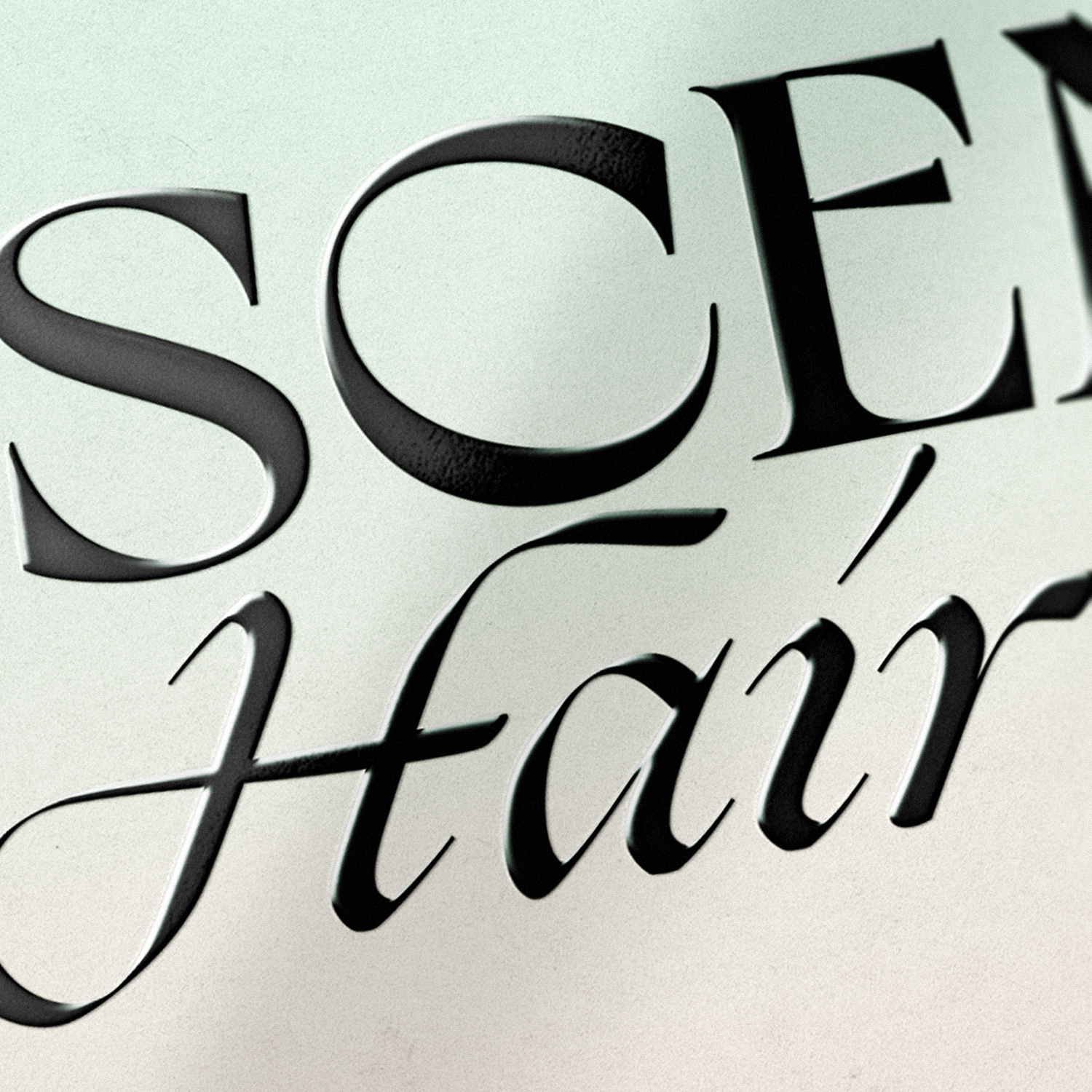 Myscene Hair — Изображение №7 — Брендинг на Dprofile