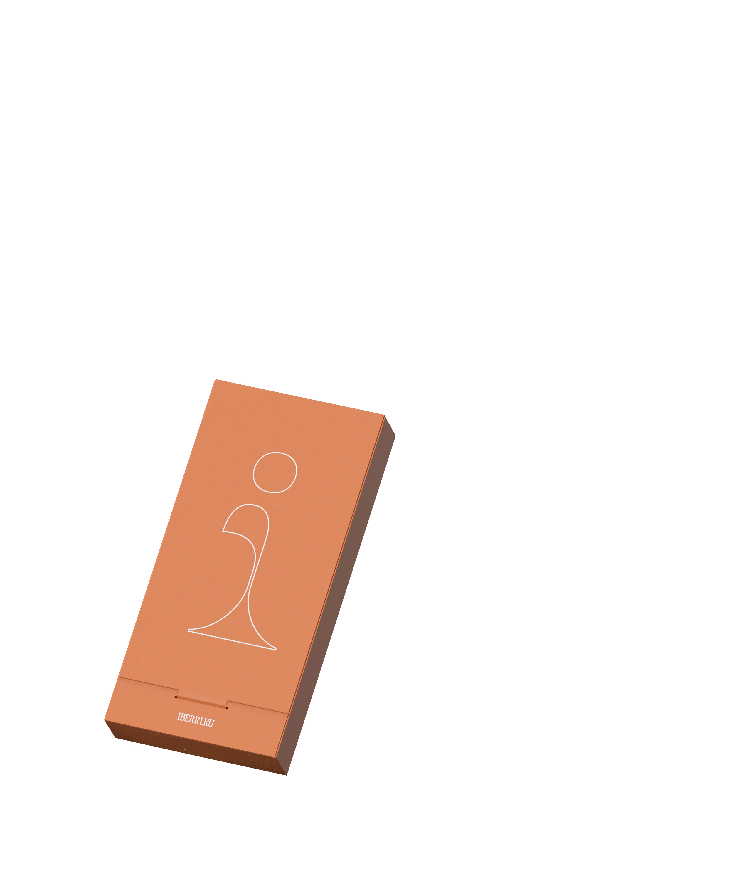 iBERRI — Изображение №21 — Брендинг на Dprofile