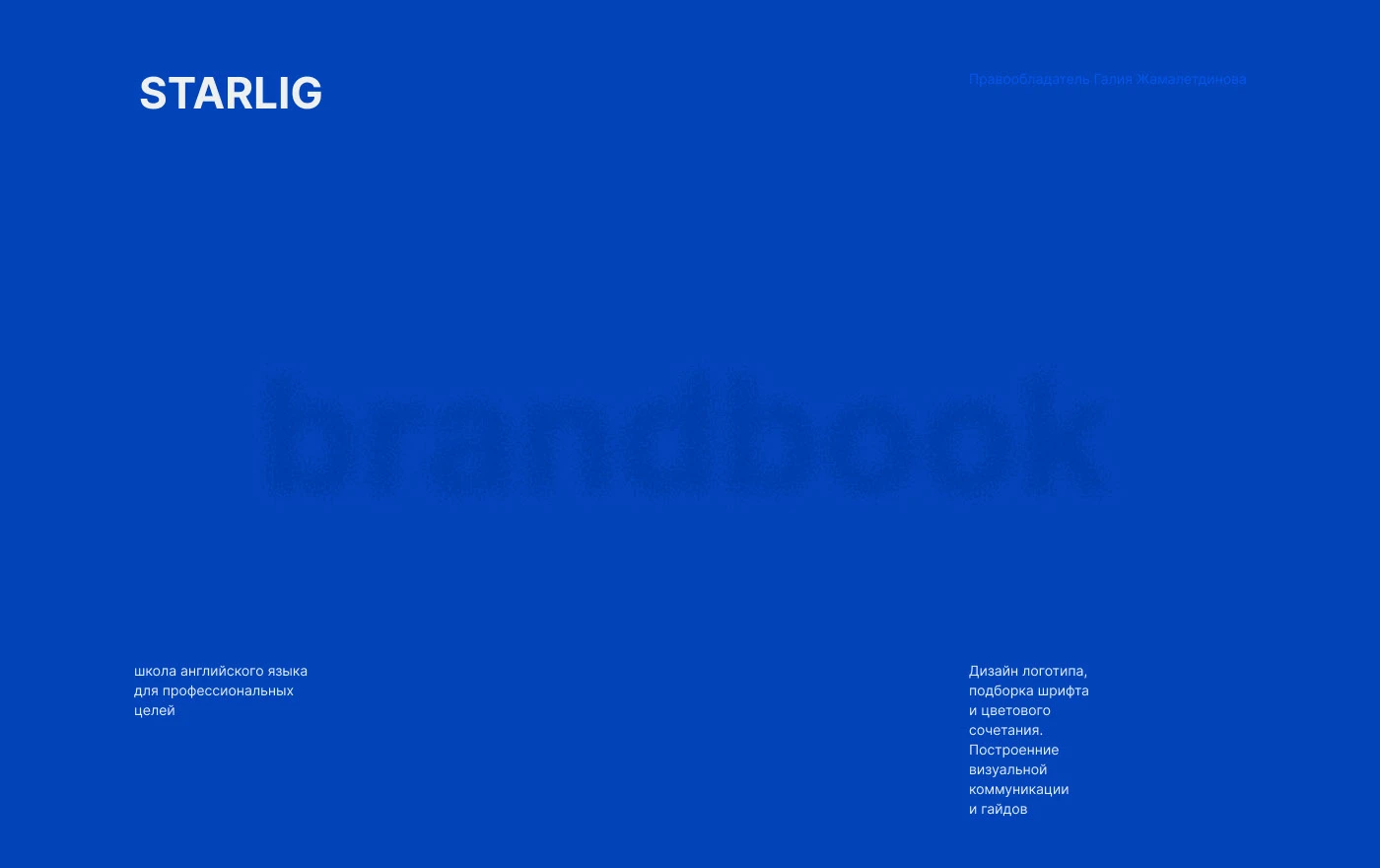 Portfolio 2025 — Изображение №6 — Брендинг, Графика на Dprofile