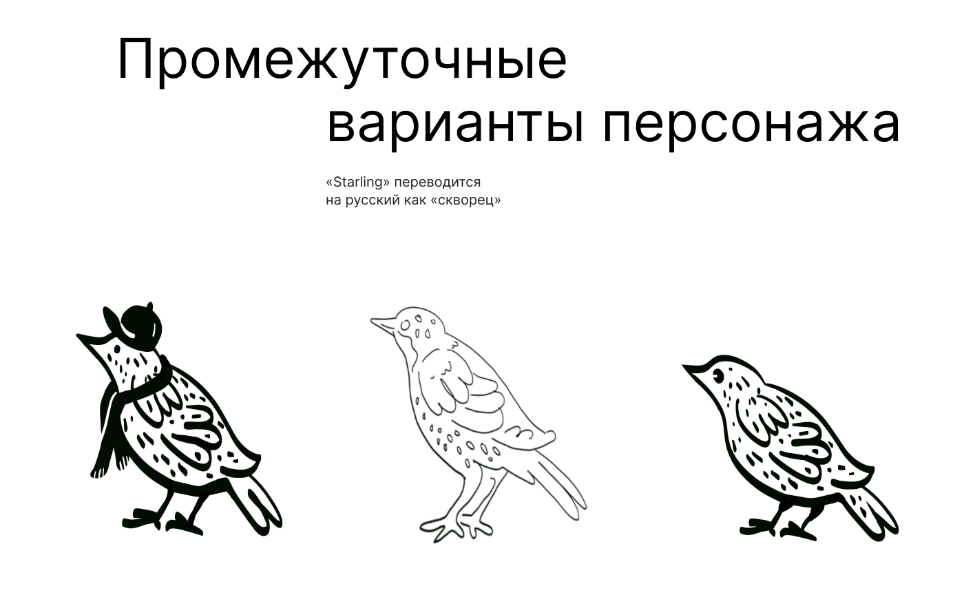 Starling|branding — Изображение №4 — Брендинг на Dprofile