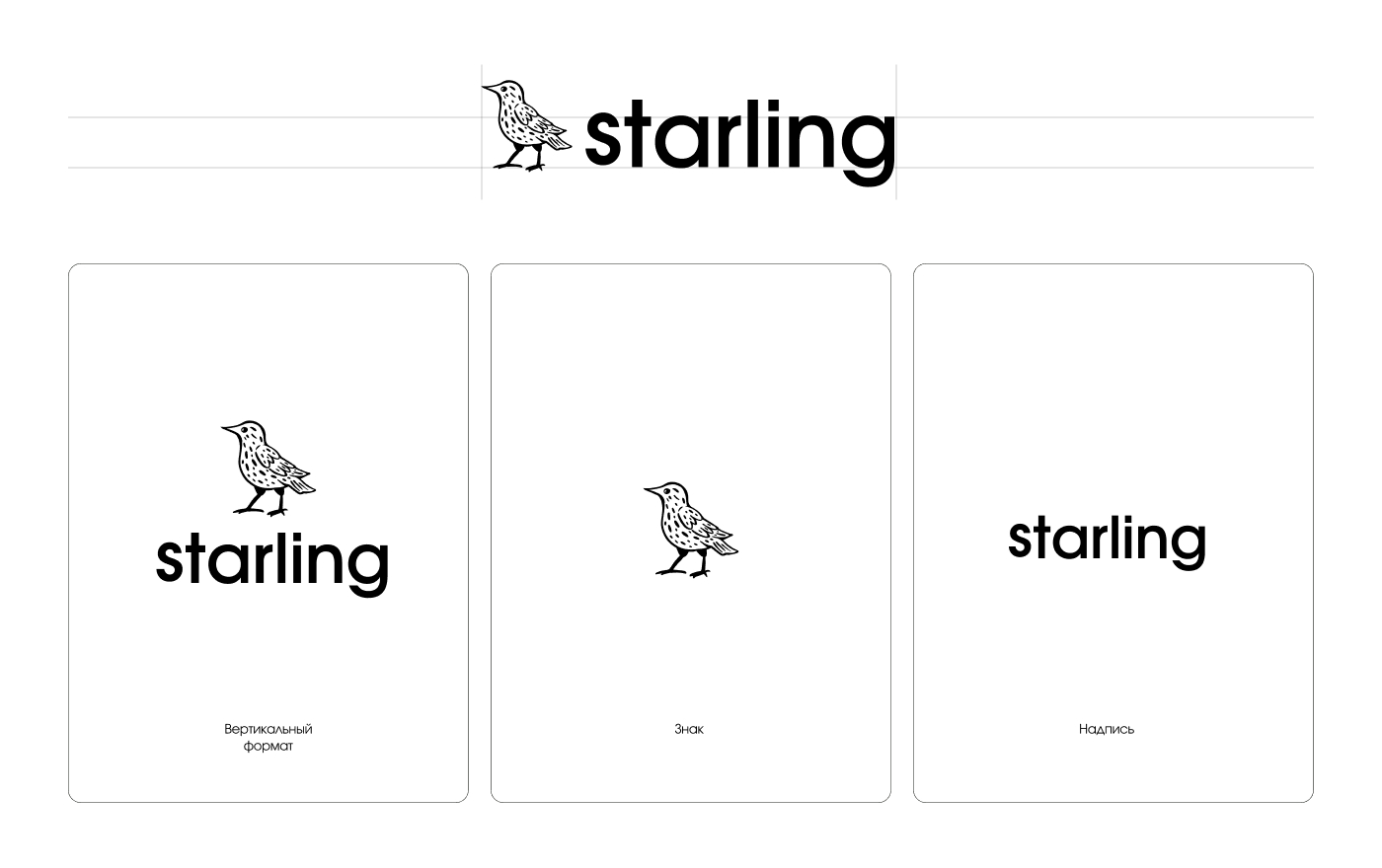 Starling|branding — Изображение №5 — Брендинг на Dprofile