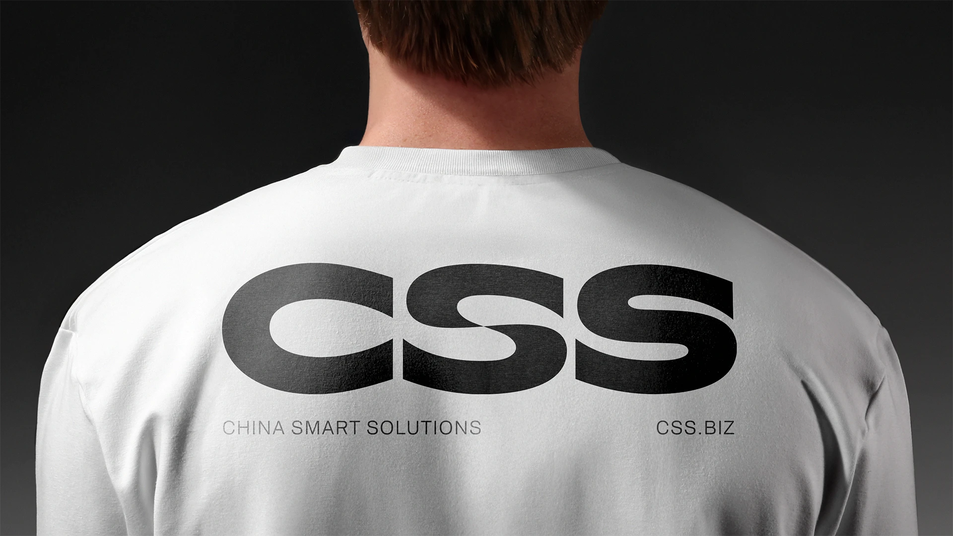 CSS. Ребрендинг промышленной компании — Изображение №14 — Брендинг, Графика на Dprofile