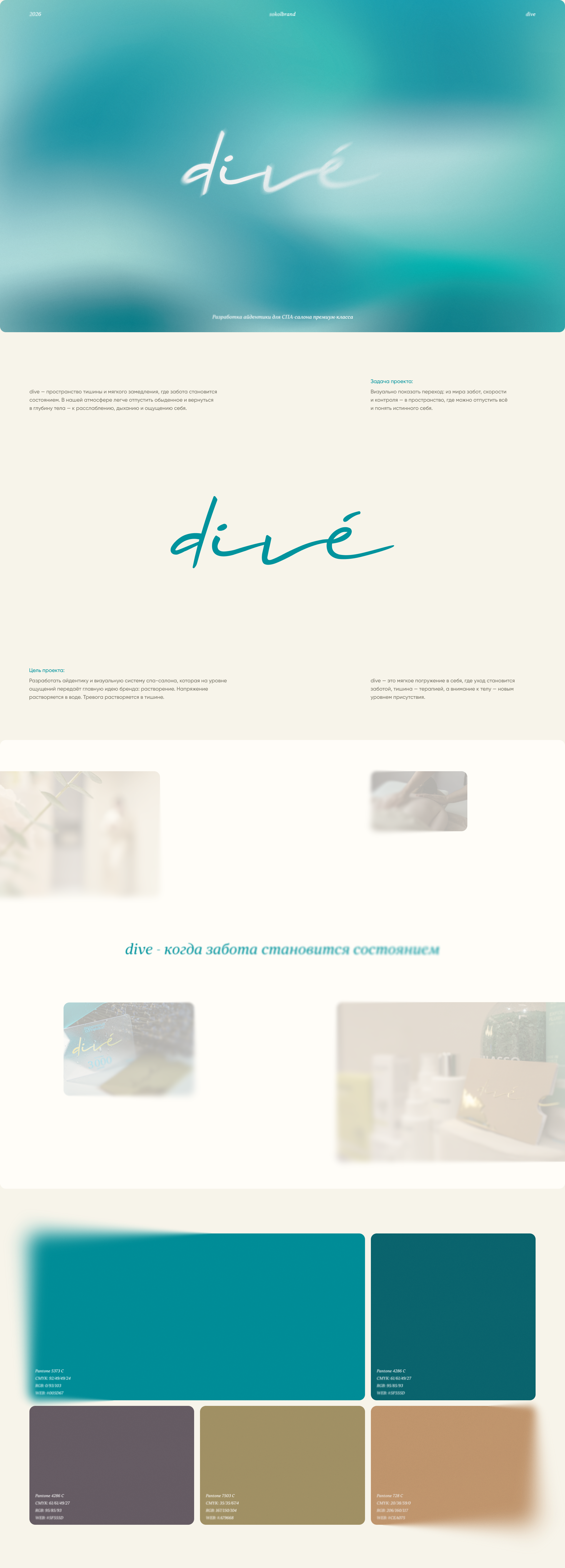 Спа-салон dive — Изображение №1 — Брендинг на Dprofile