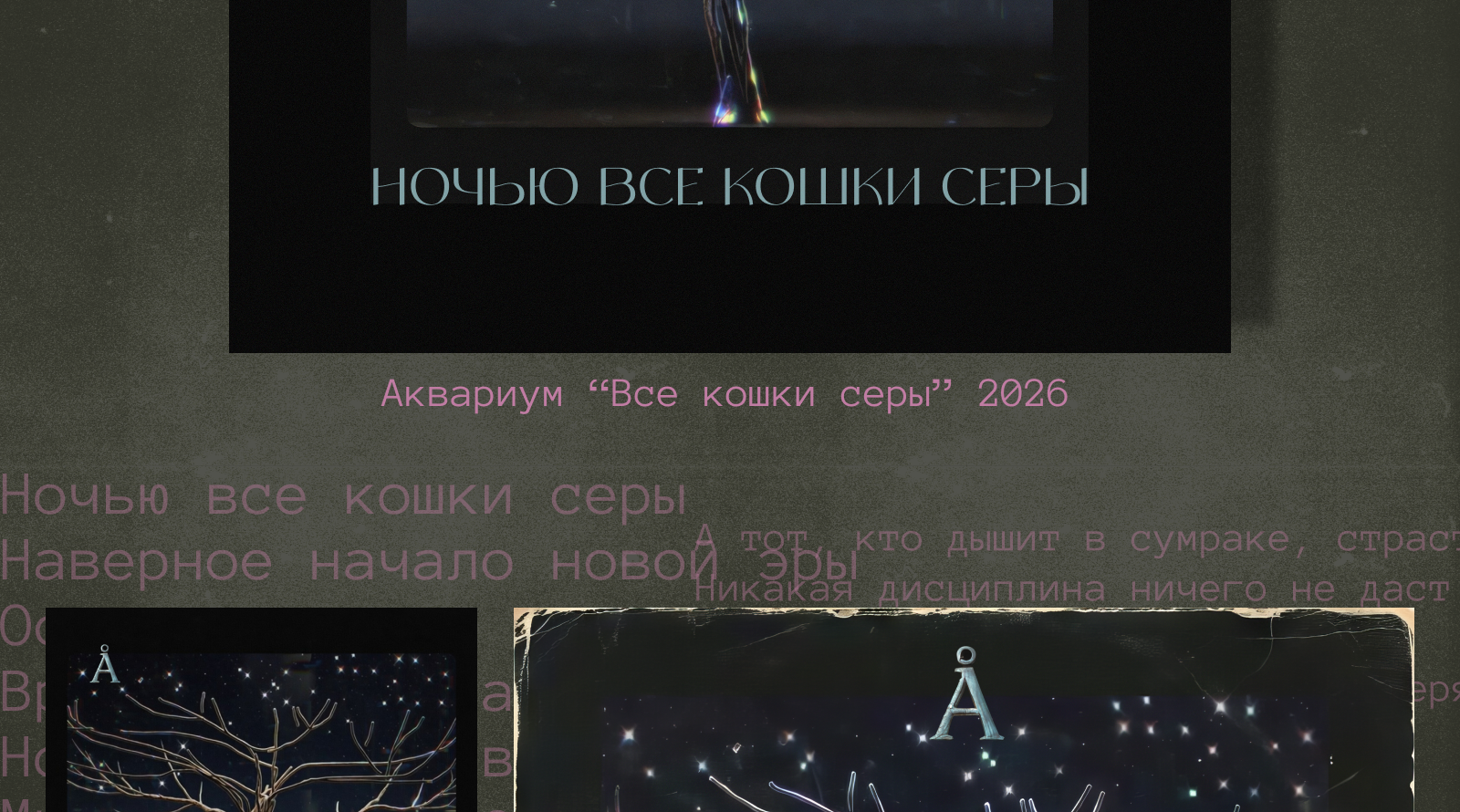 НЕЙРОБИТВА/челлендж_2026 — Изображение №10 — Брендинг, Графика на Dprofile